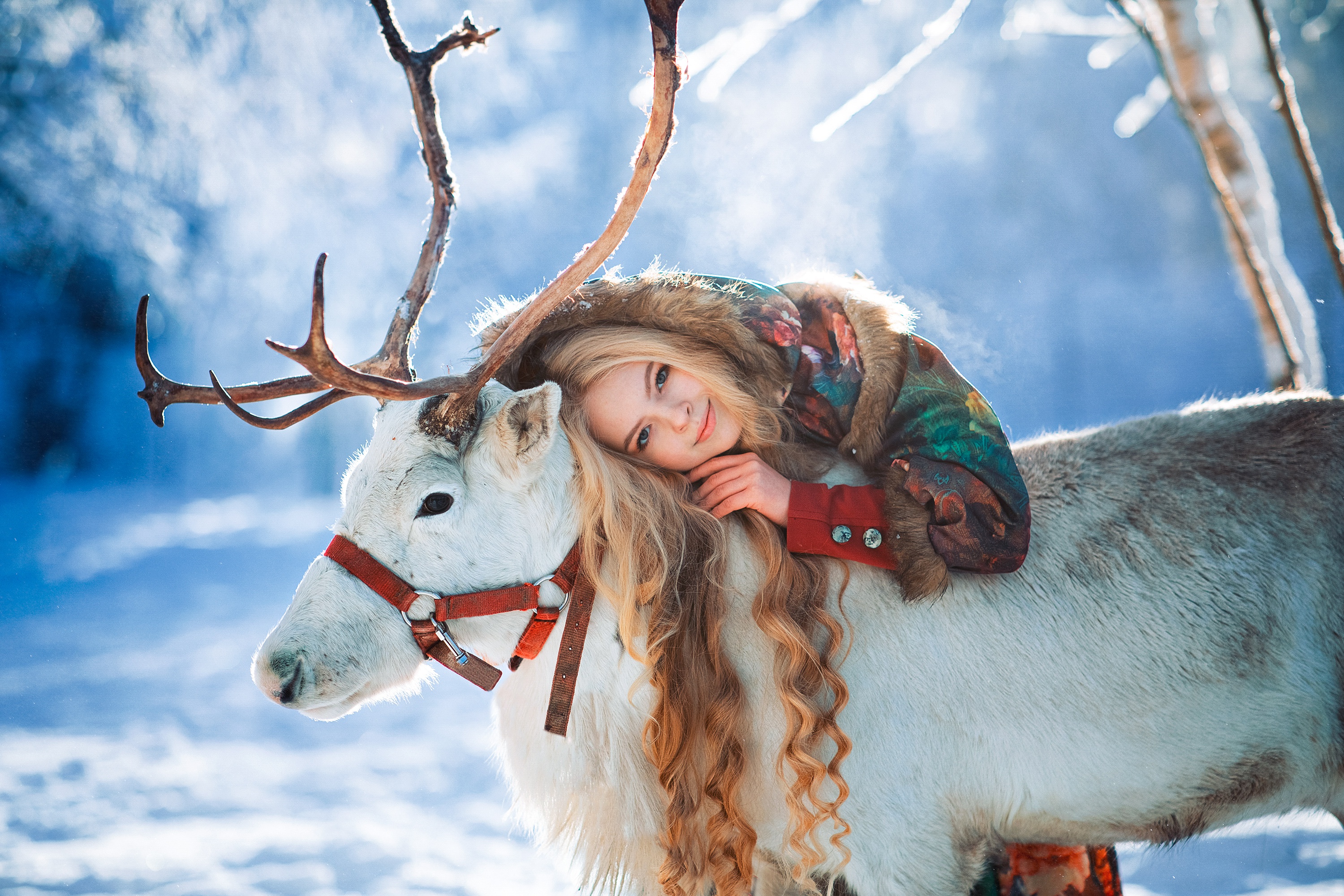 Woman with blonde hair lying on a reindeer in the snow HD Wallpaper