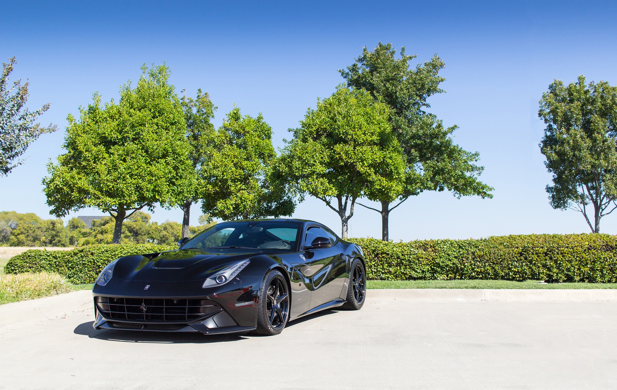 Black Ferrari F12berlinetta parked outdoors HD Wallpaper