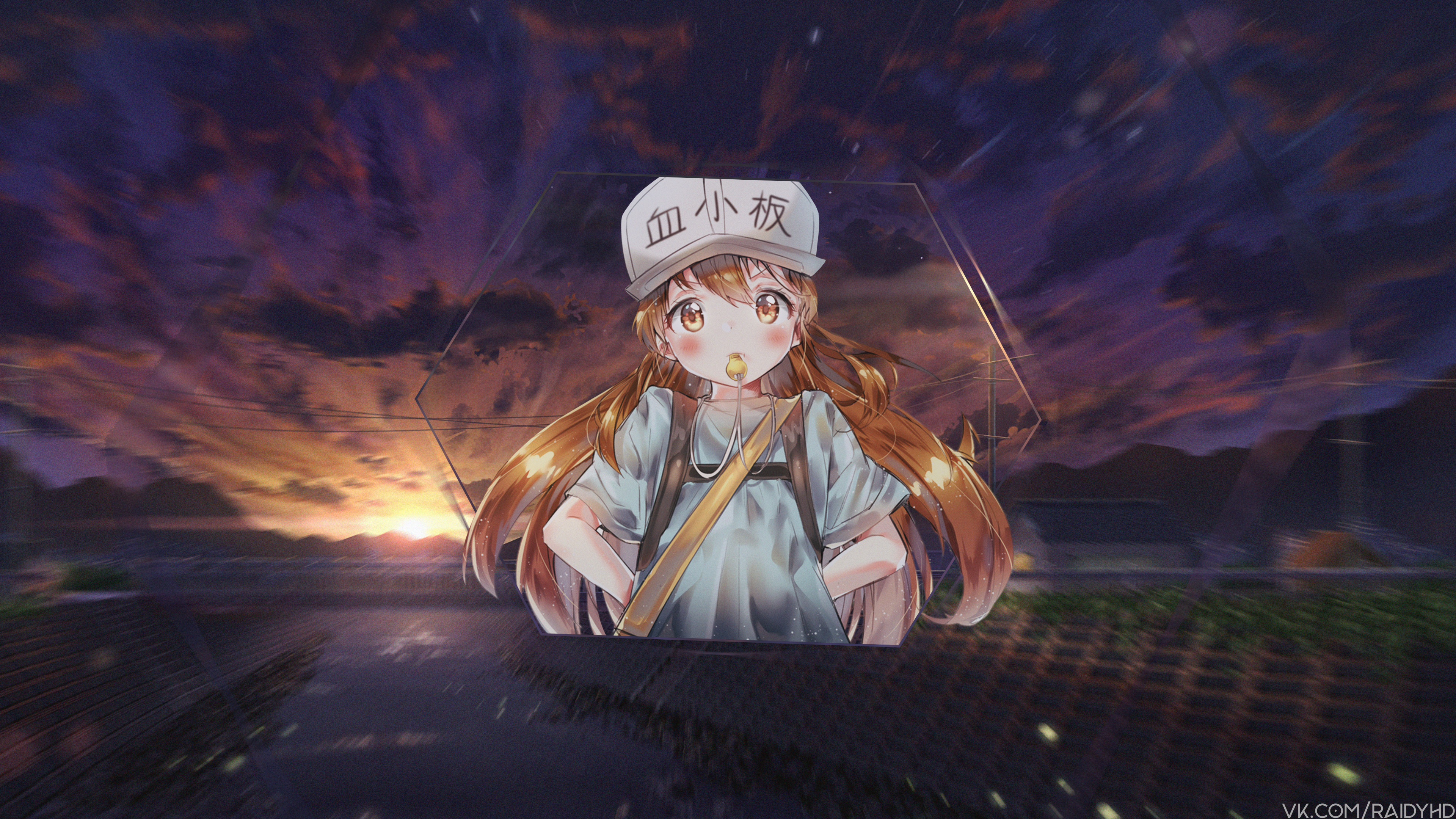 Platelet from Cells at Work! wearing a cap HD Wallpaper