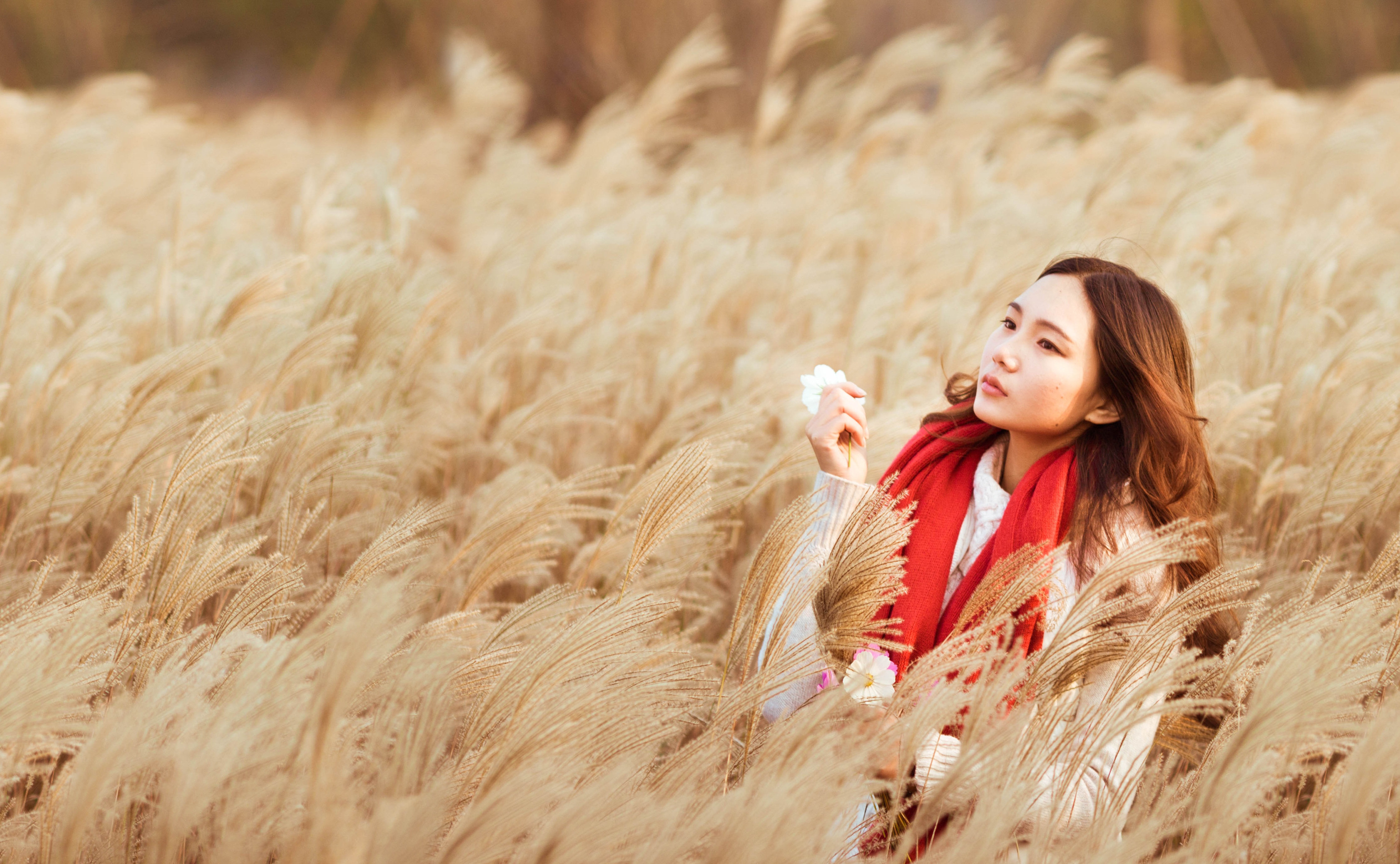 Asian woman in a field of wheat HD Wallpaper