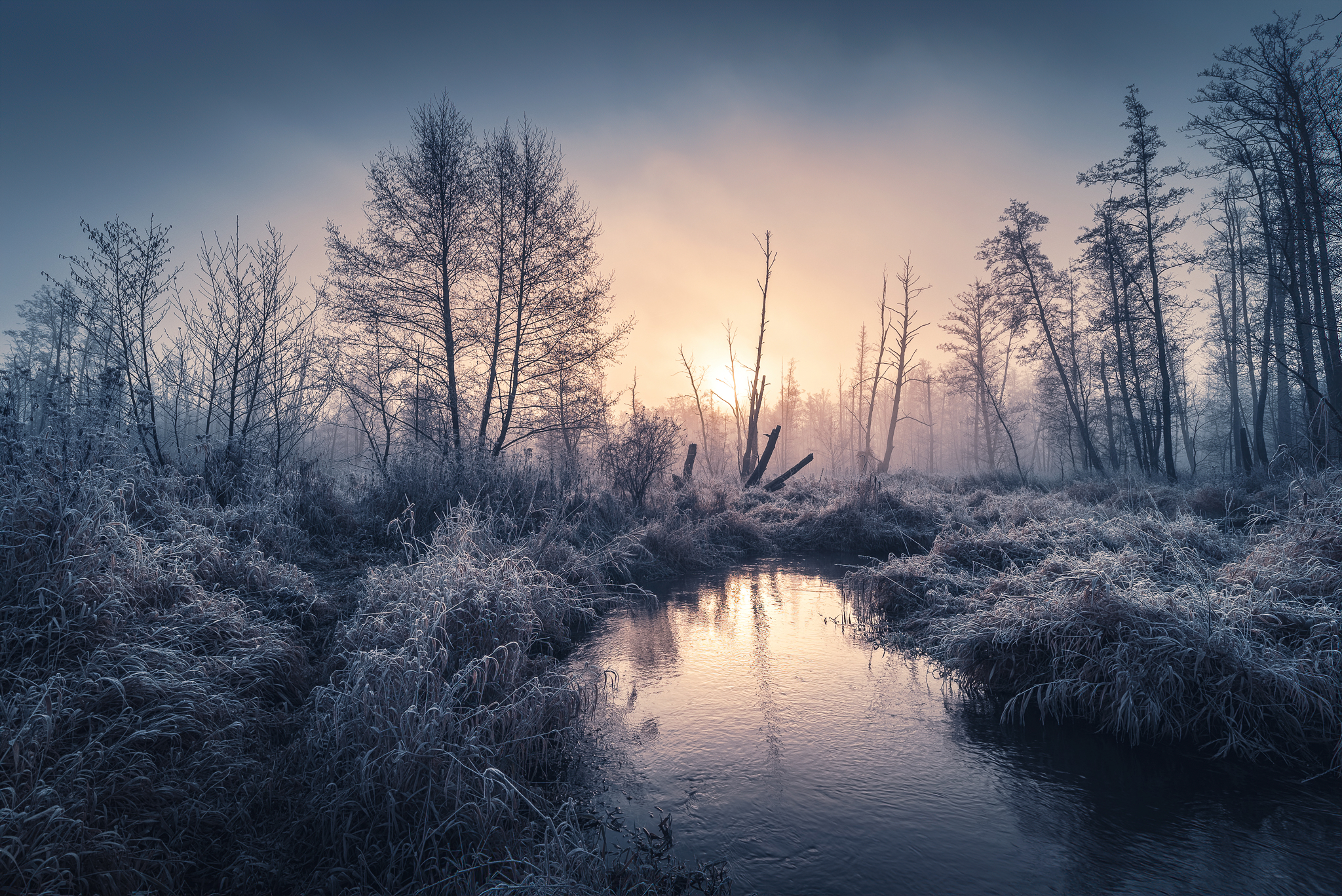 Winter fog over a frozen stream and trees HD Wallpaper