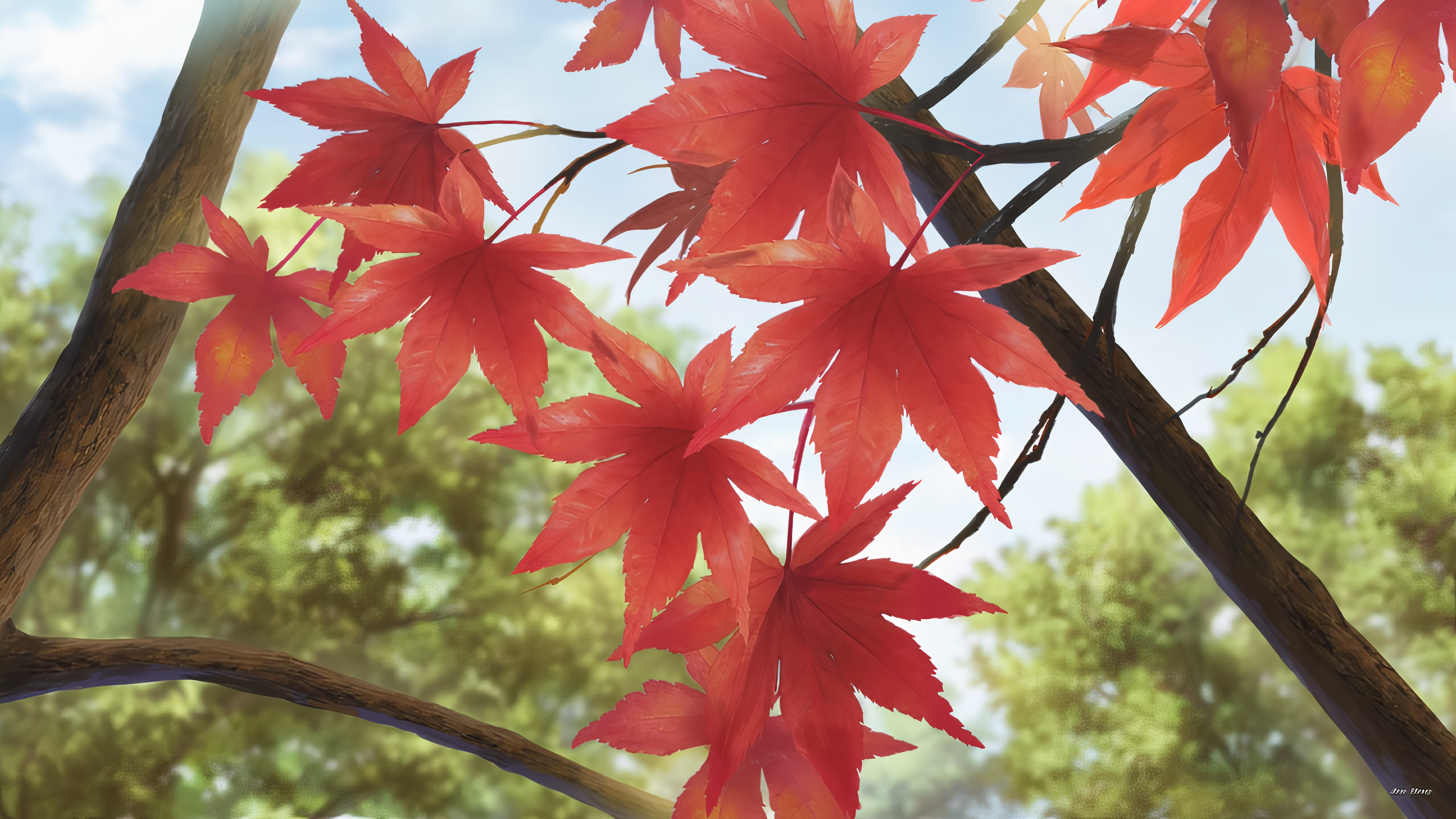 Red Maple Leaves on Tree Branches HD Wallpaper