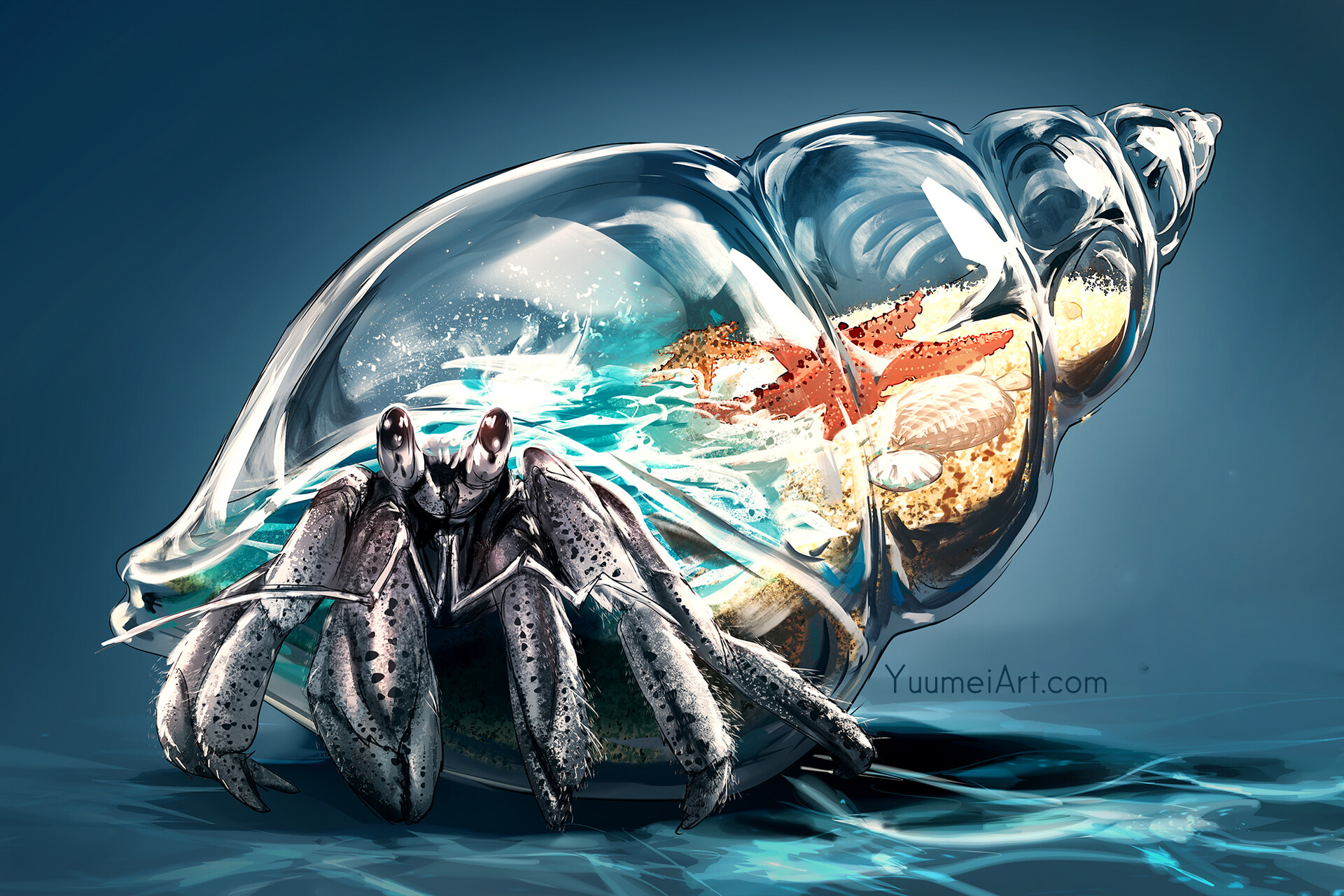 Hermit Crab with Miniature Ocean World Inside Shell HD Wallpaper