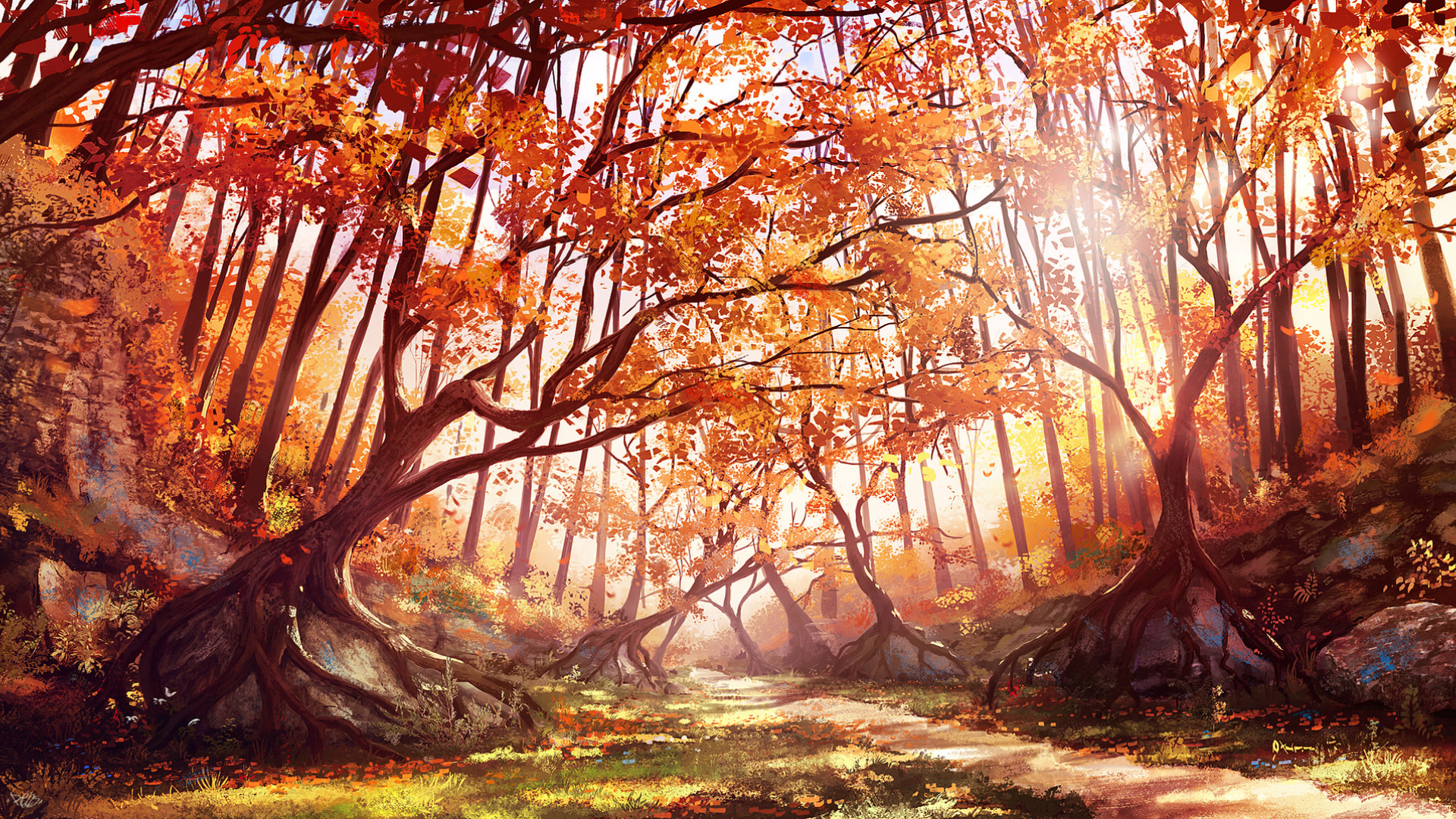 Autumn forest with sunbeams HD Wallpaper