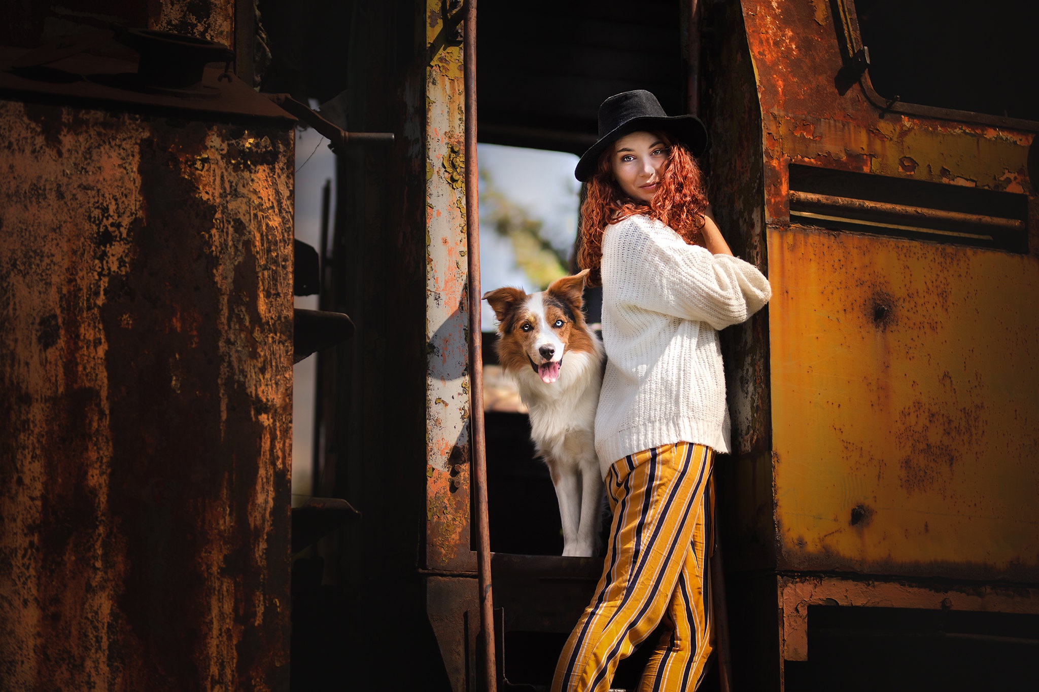 Woman and Border Collie in a Train Car HD Wallpaper