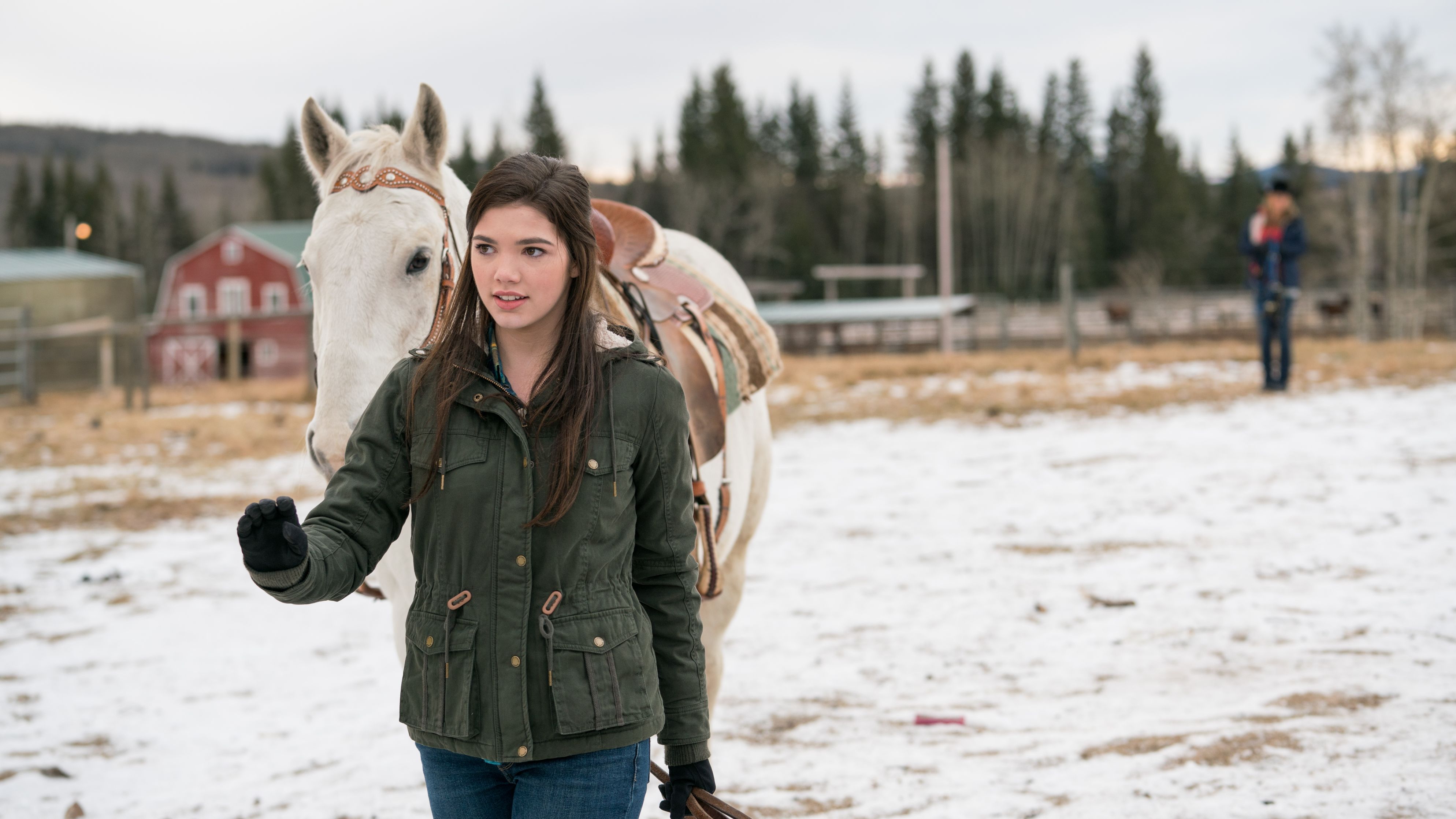 Girl with horse in snowy field HD Wallpaper