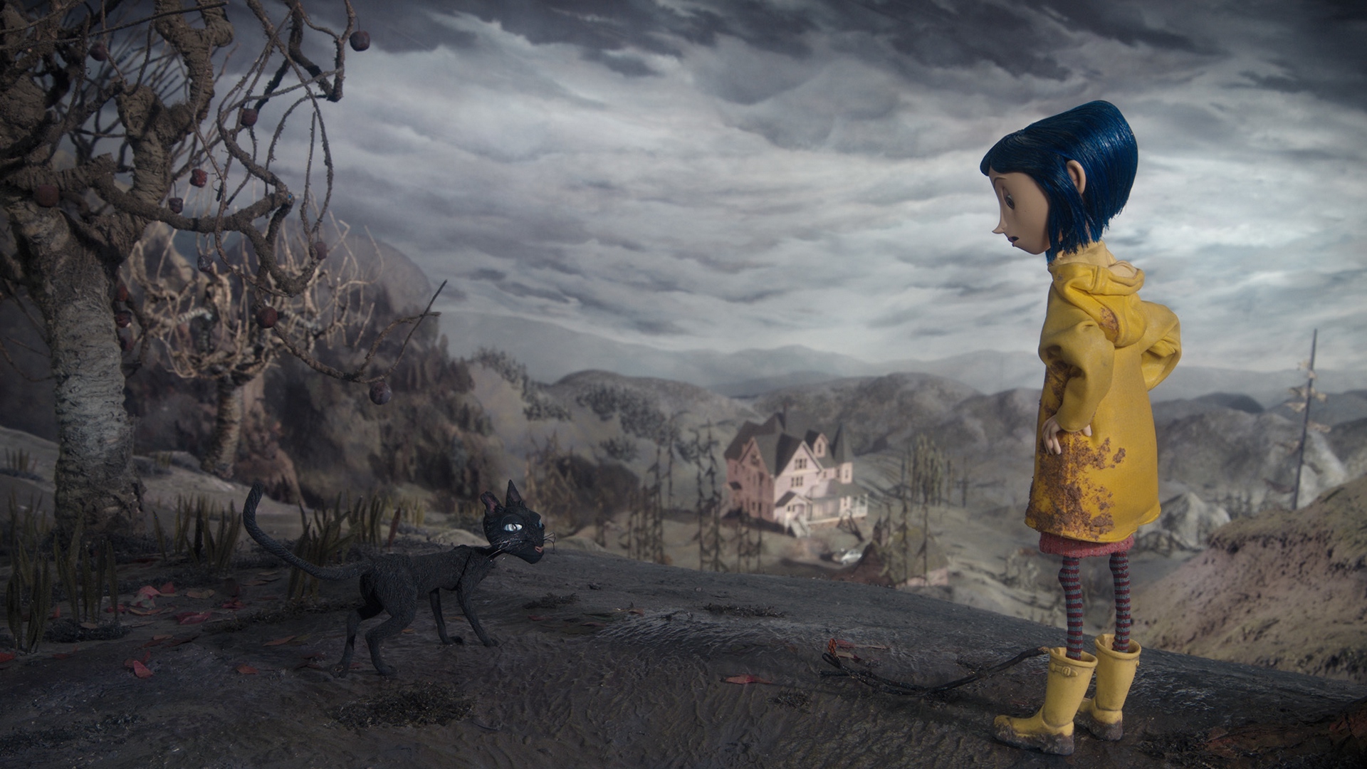 Coraline Jones and black cat in Coraline HD Wallpaper