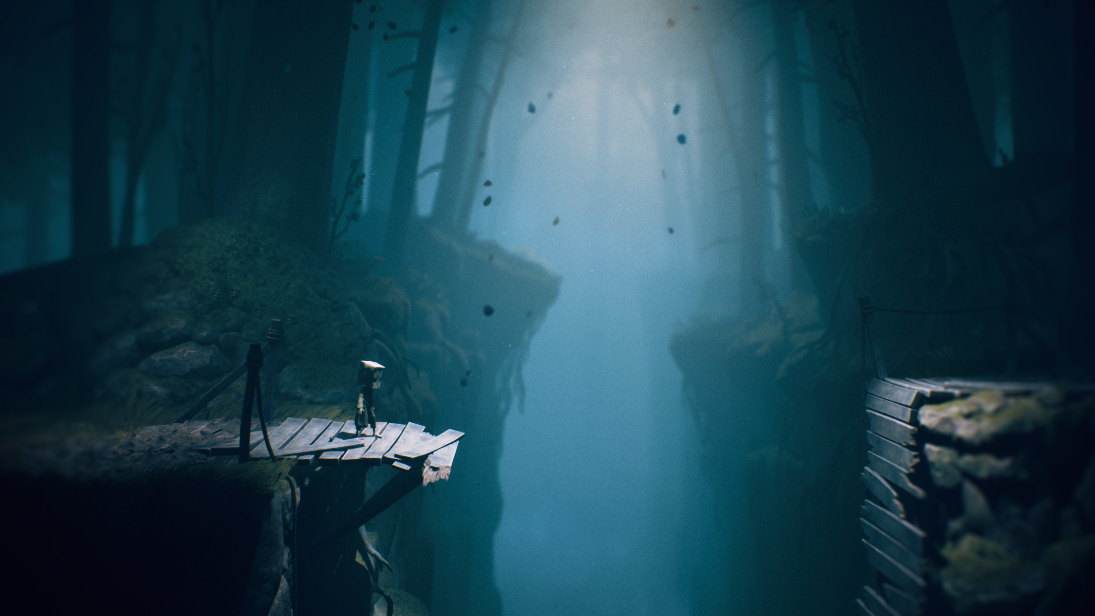 Mono from Little Nightmares II in a foggy forest HD Wallpaper