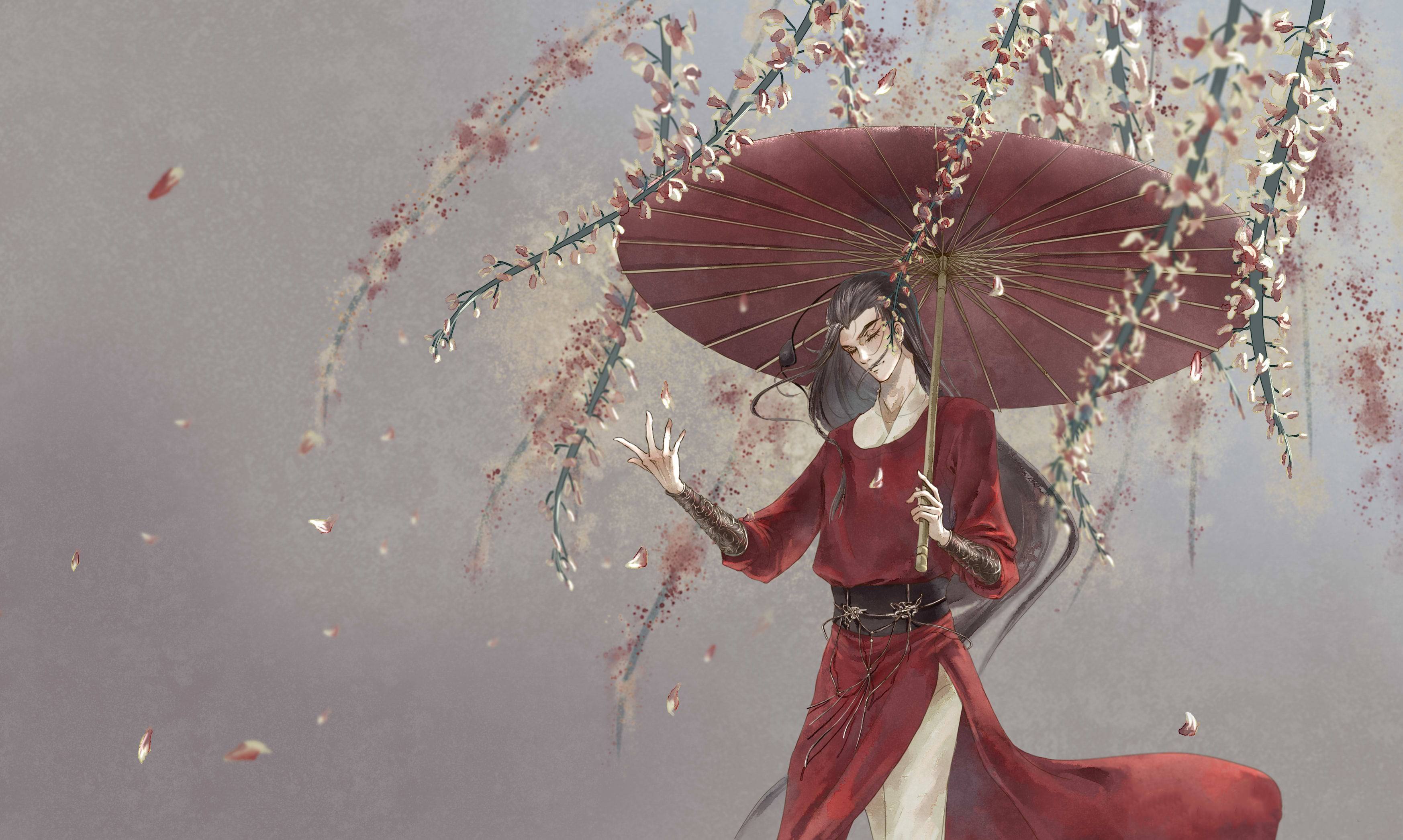 Xie Lian from Tian Guan Ci Fu with umbrella HD Wallpaper