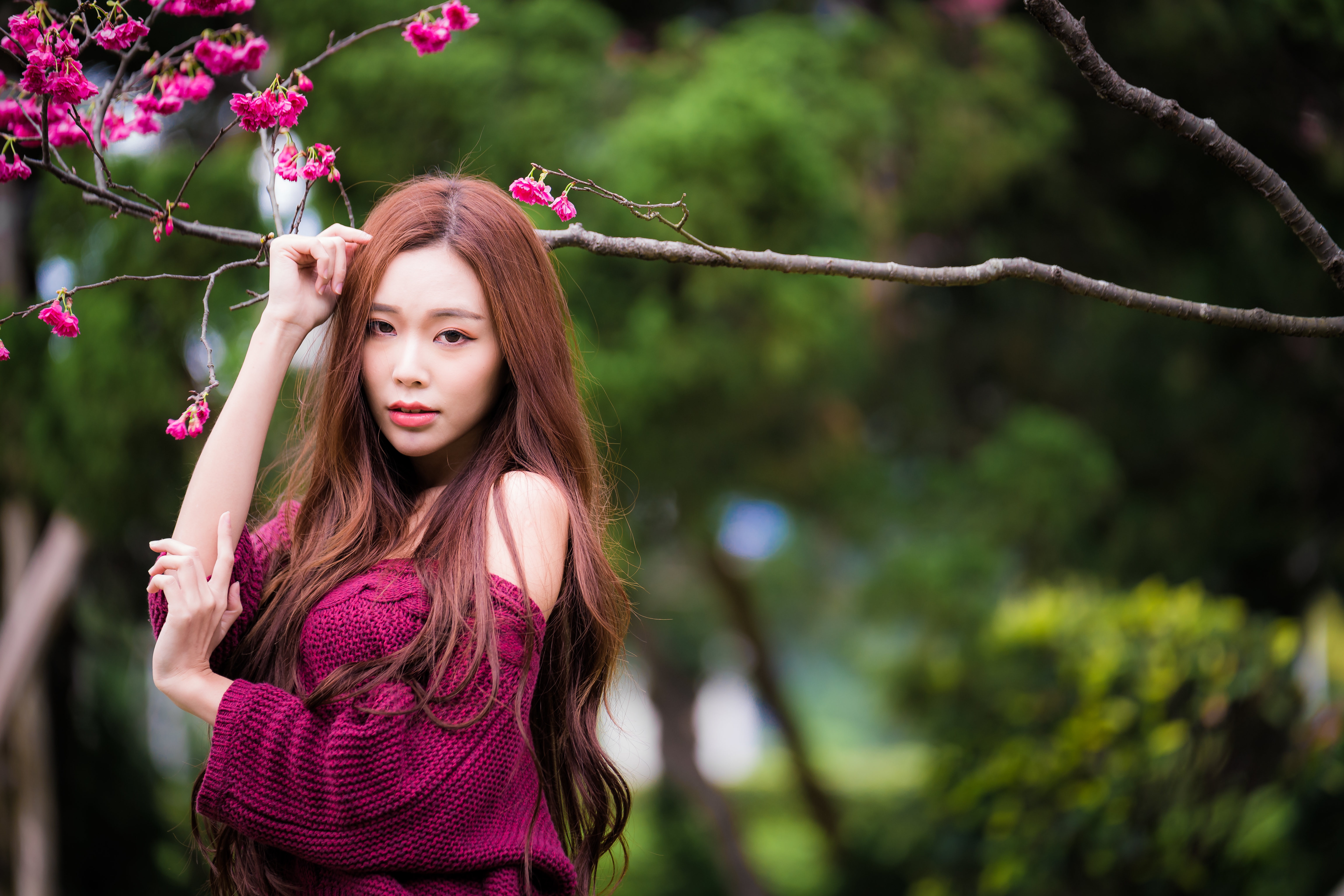 Asian woman with long brown hair in a burgundy sweater HD Wallpaper