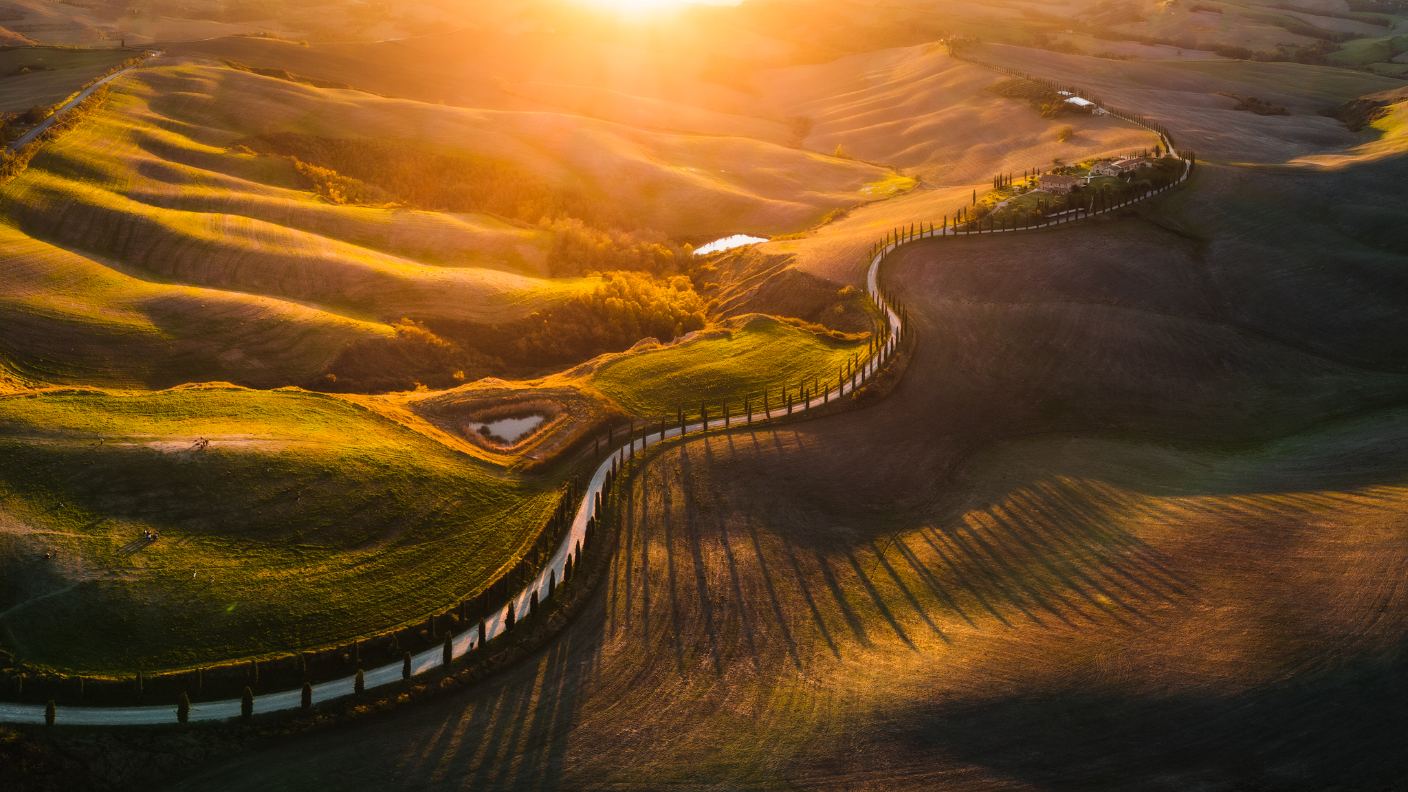 Road through rolling hills in Tuscany at sunset HD Wallpaper