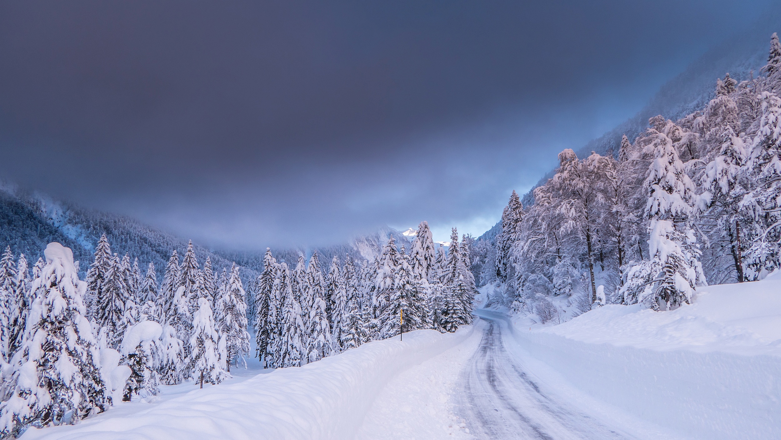 Snowy road through a winter forest in Italy HD Wallpaper
