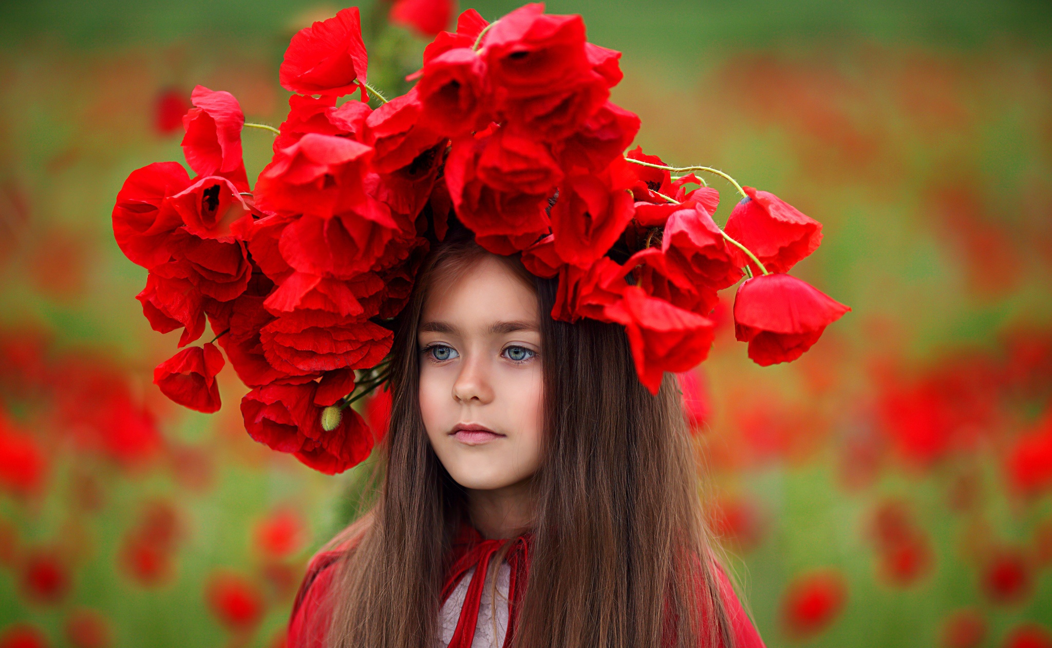 Girl with a wreath of red poppies HD Wallpaper
