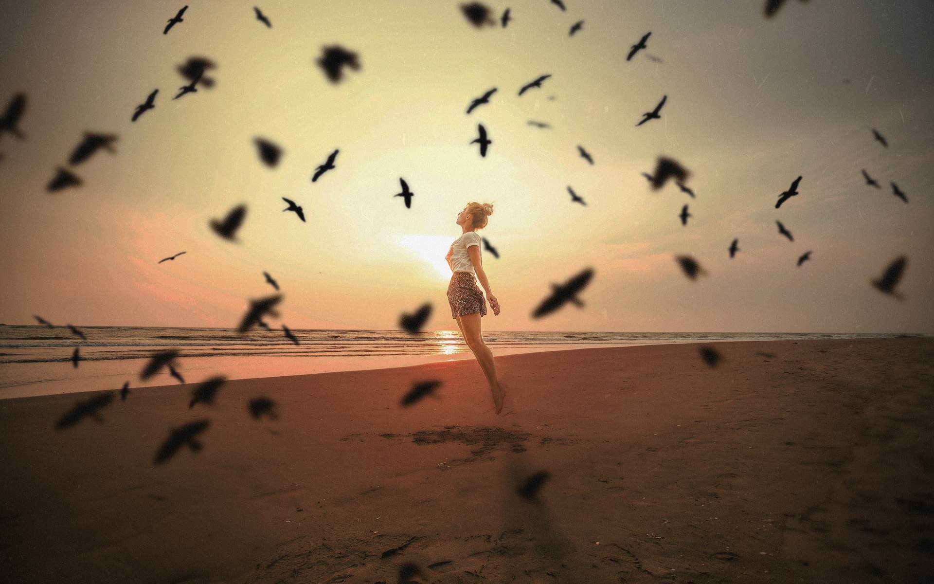 Woman jumping on beach with birds at sunset HD Wallpaper