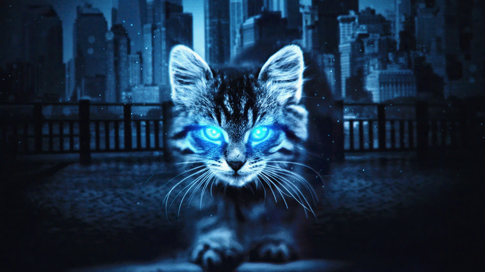 Cat with Glowing Blue Eyes in City at Night HD Wallpaper