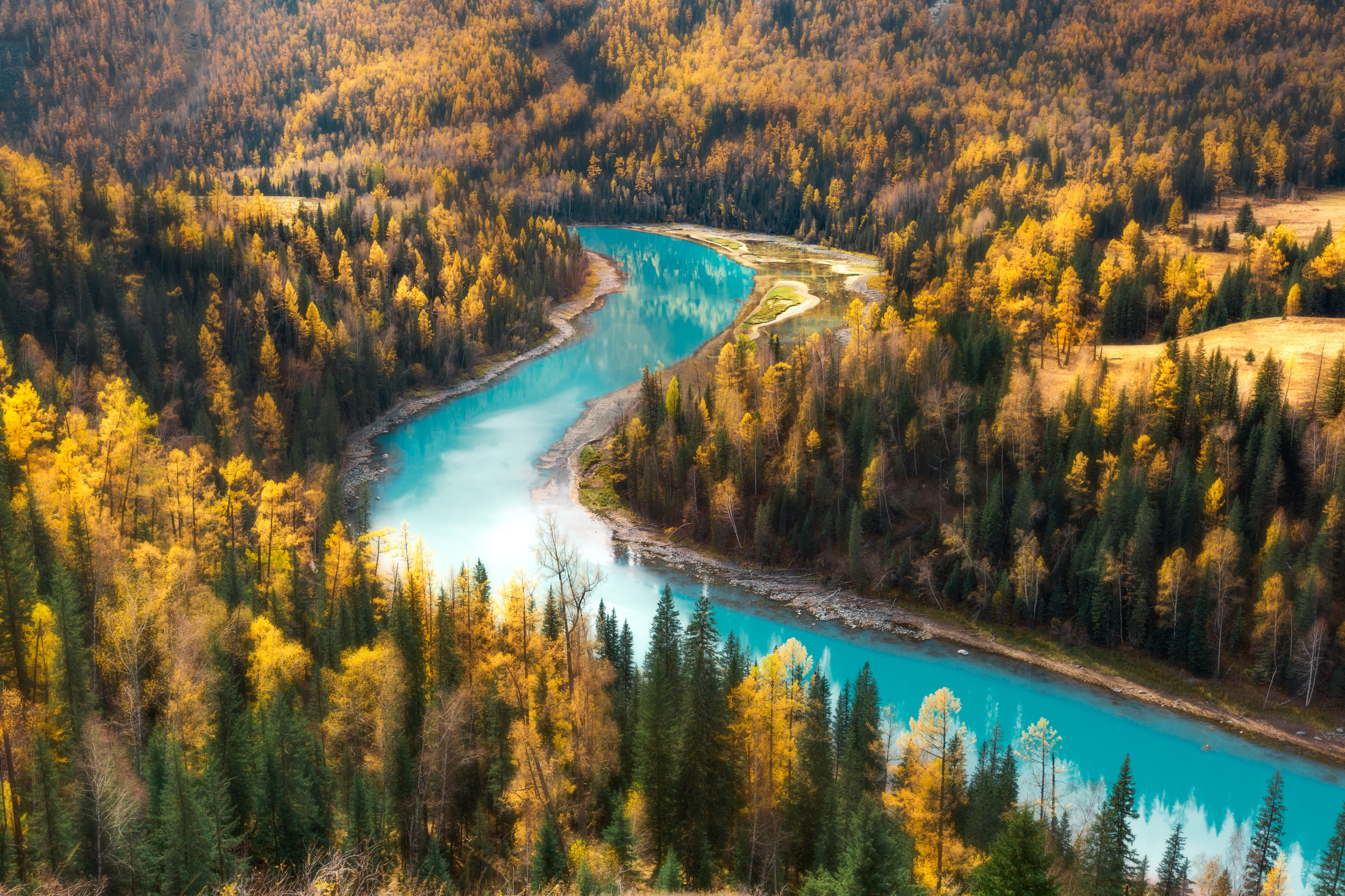 Turquoise river winding through autumn forest HD Wallpaper