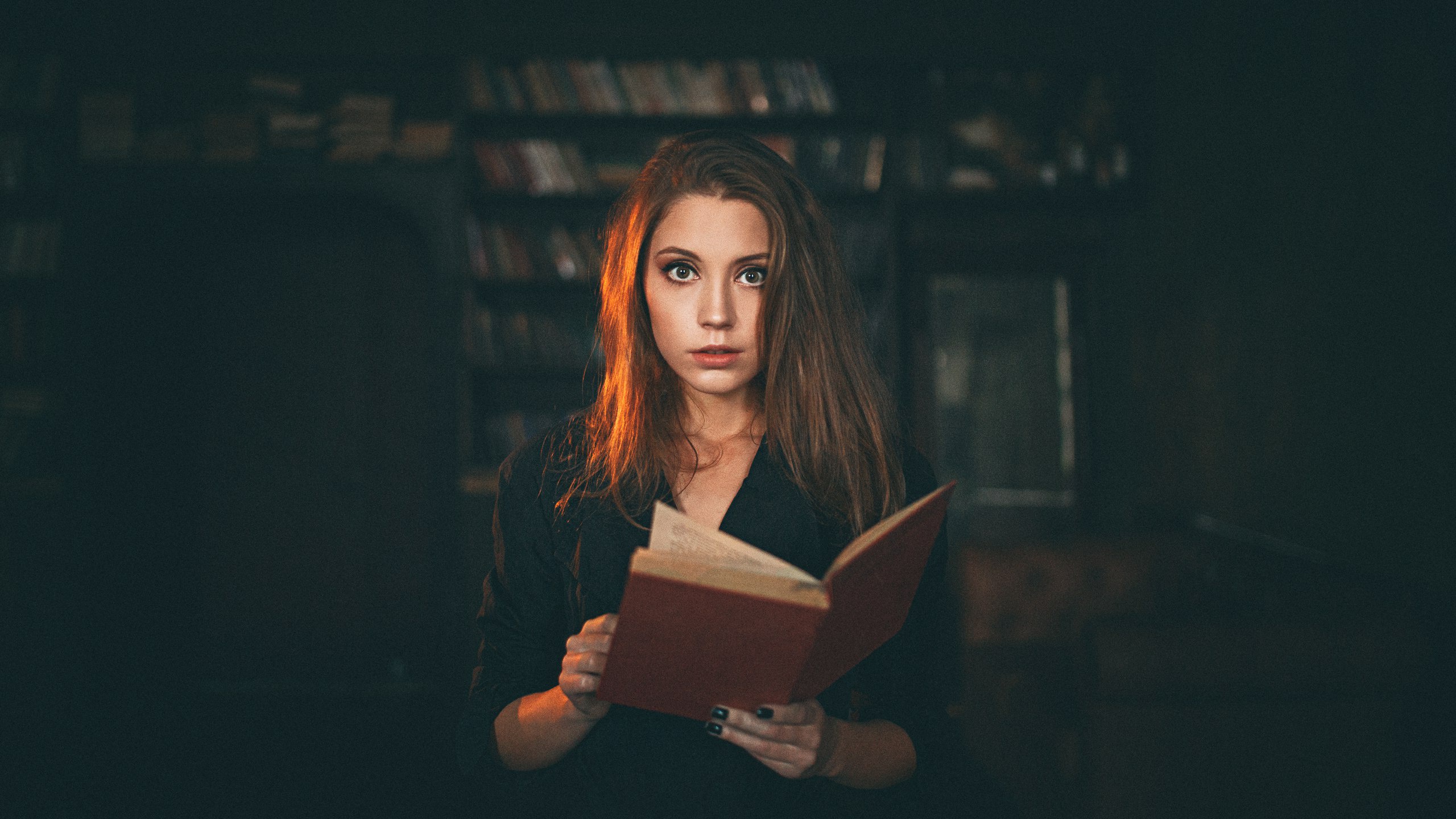 Woman reading a book in a library HD Wallpaper