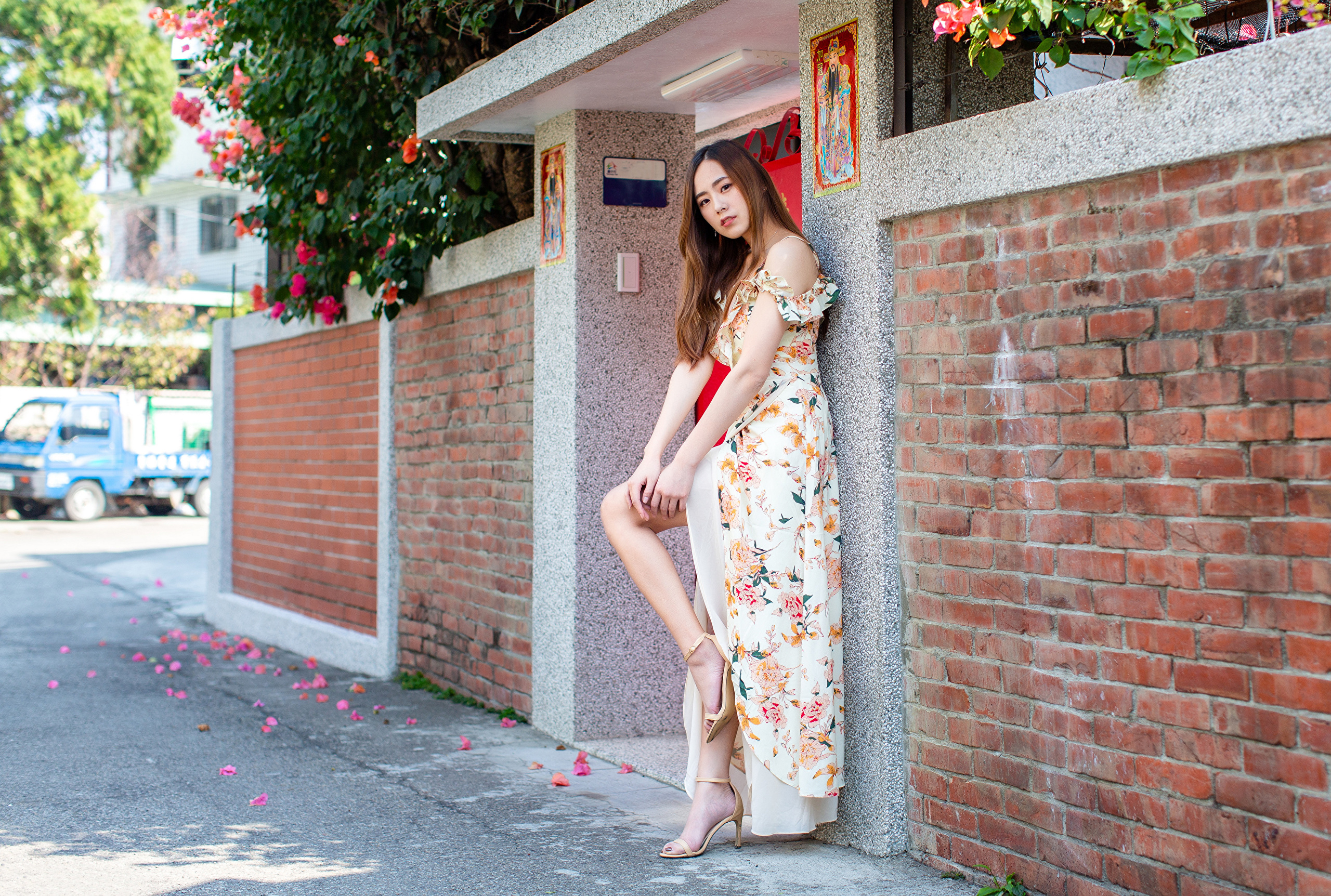 Woman in floral dress leaning against a brick wall HD Wallpaper