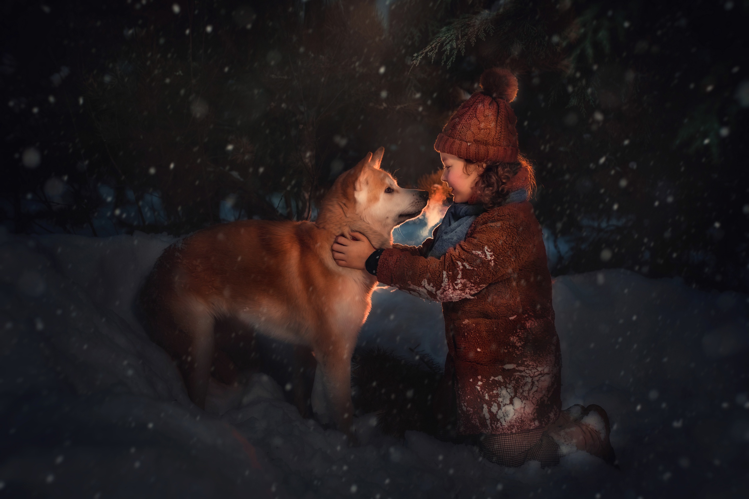 Girl and Shiba Inu in Snowy Night HD Wallpaper