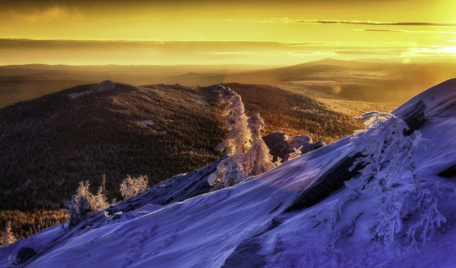 Winter mountain landscape at sunset with snow-covered trees HD Wallpaper