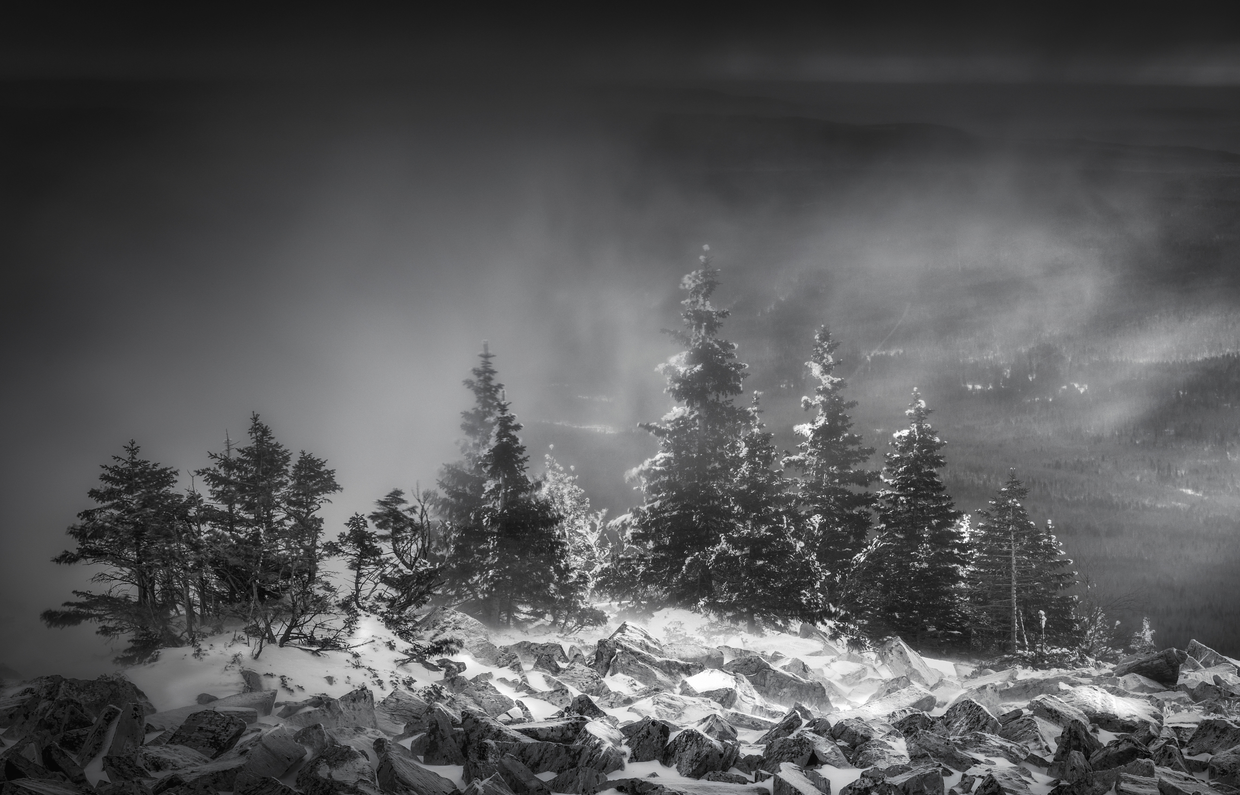 Monochrome winter scene with snow-covered trees and rocks HD Wallpaper