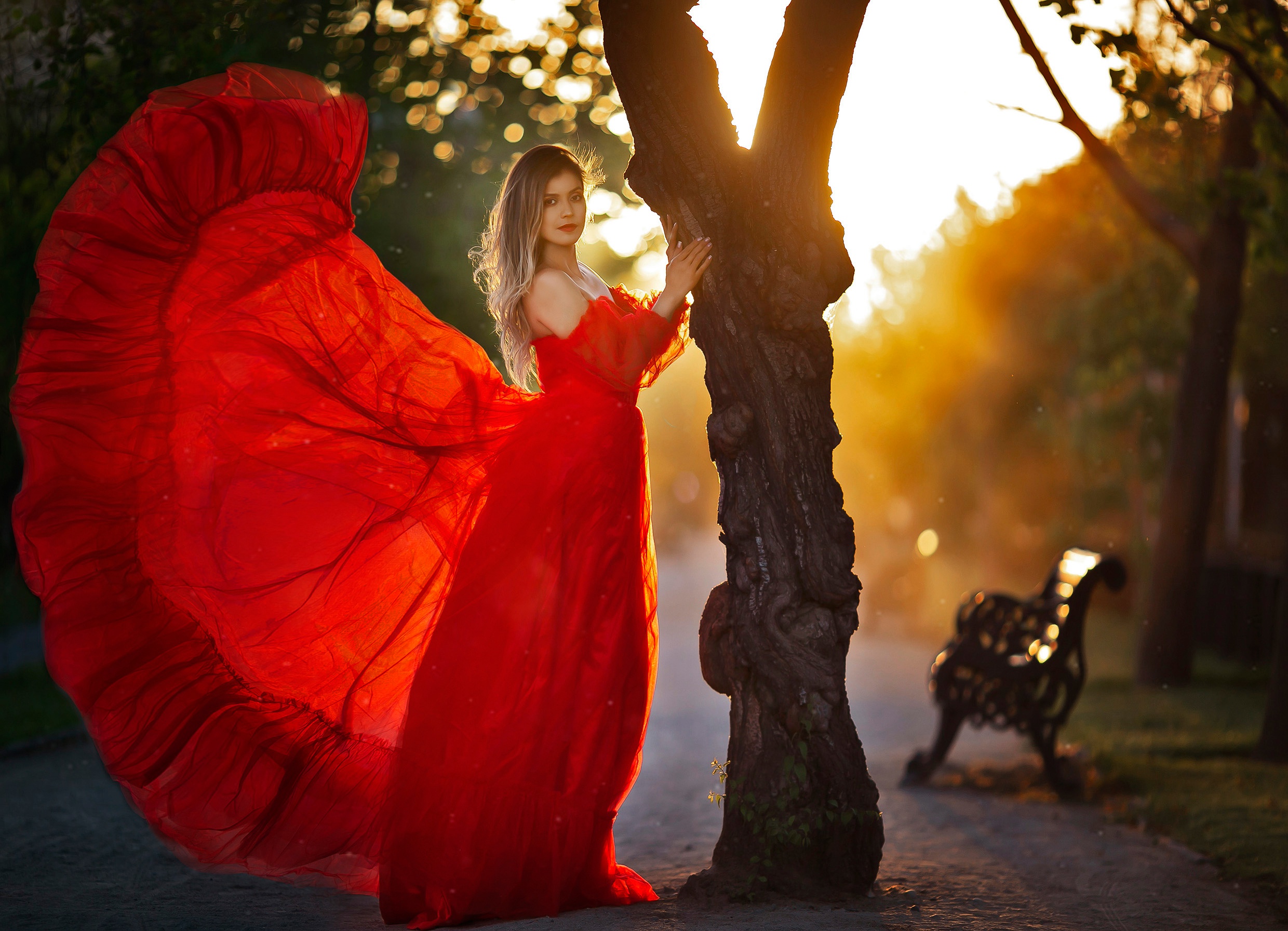 Woman in a red dress by a tree at sunset HD Wallpaper