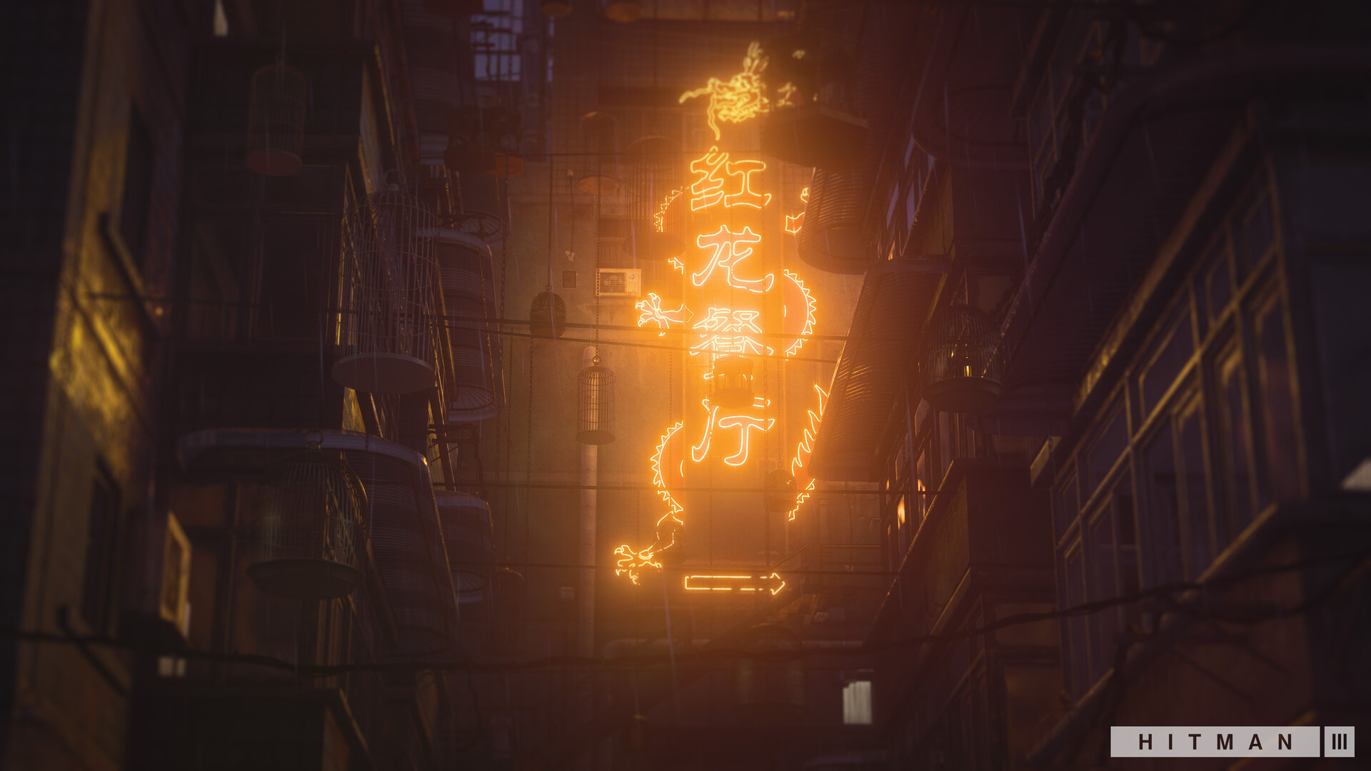 Neon dragon sign in a dark alley HD Wallpaper