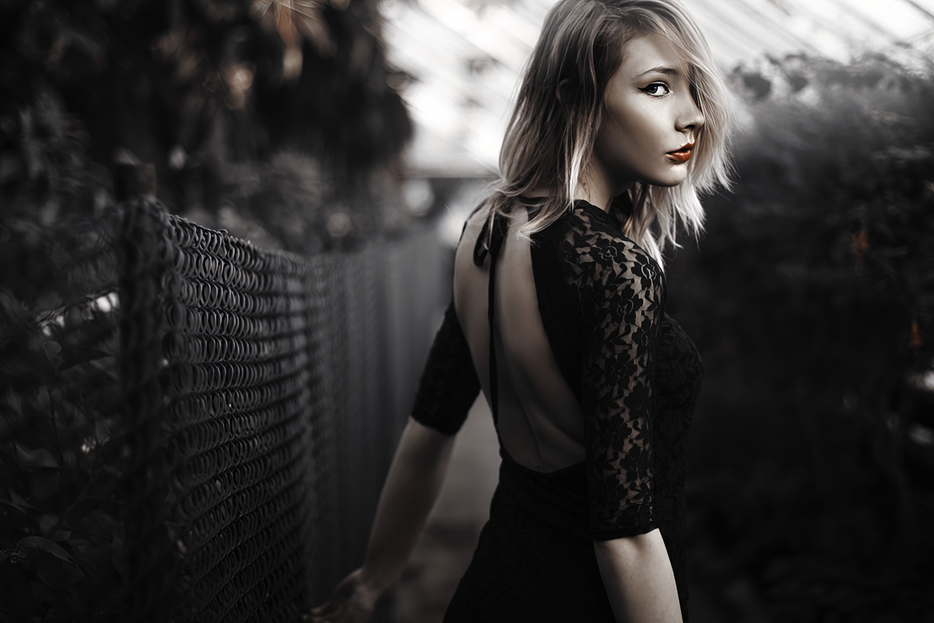 Blonde woman in black lace dress HD Wallpaper
