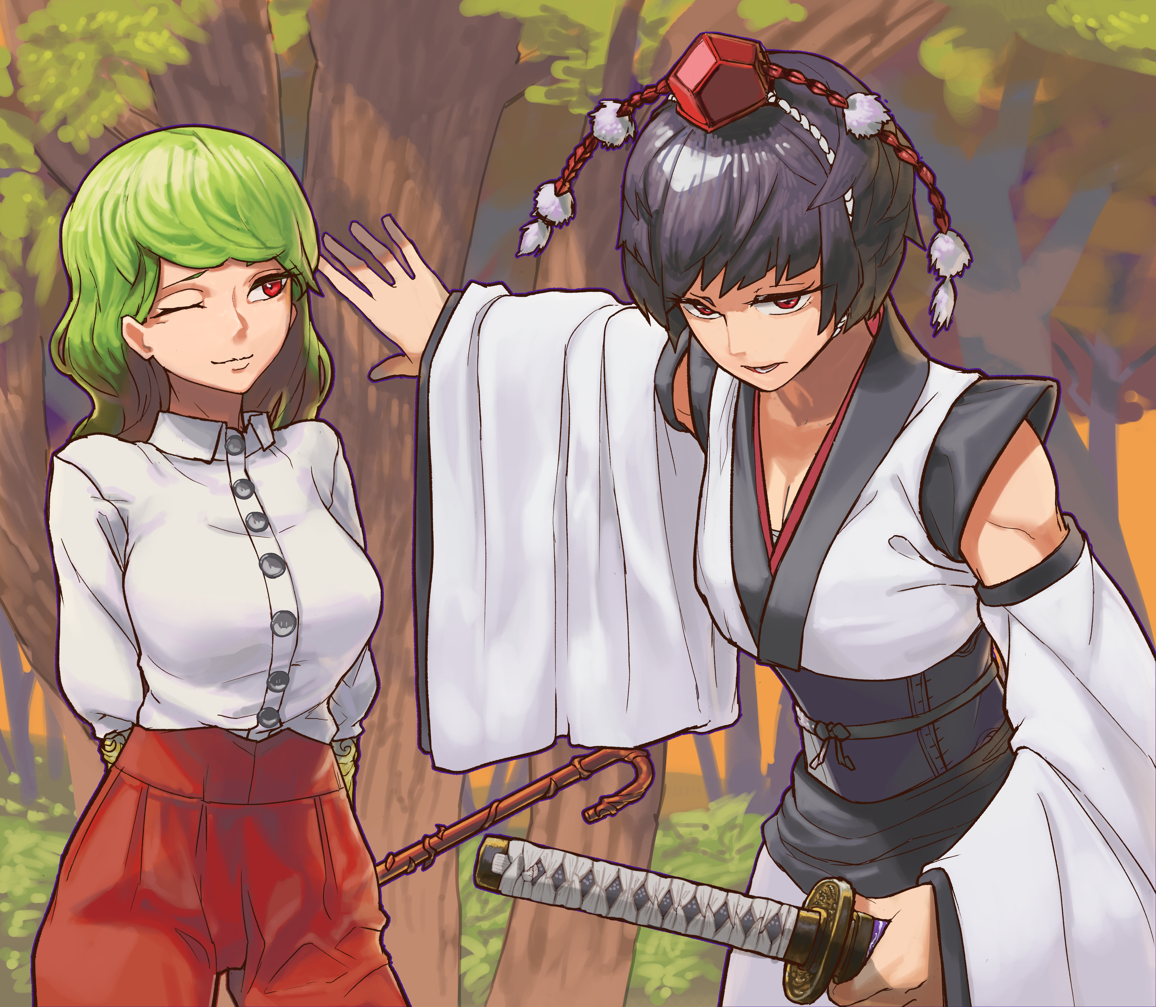 Aya Shameimaru and Yuuka Kazami from Touhou HD Wallpaper