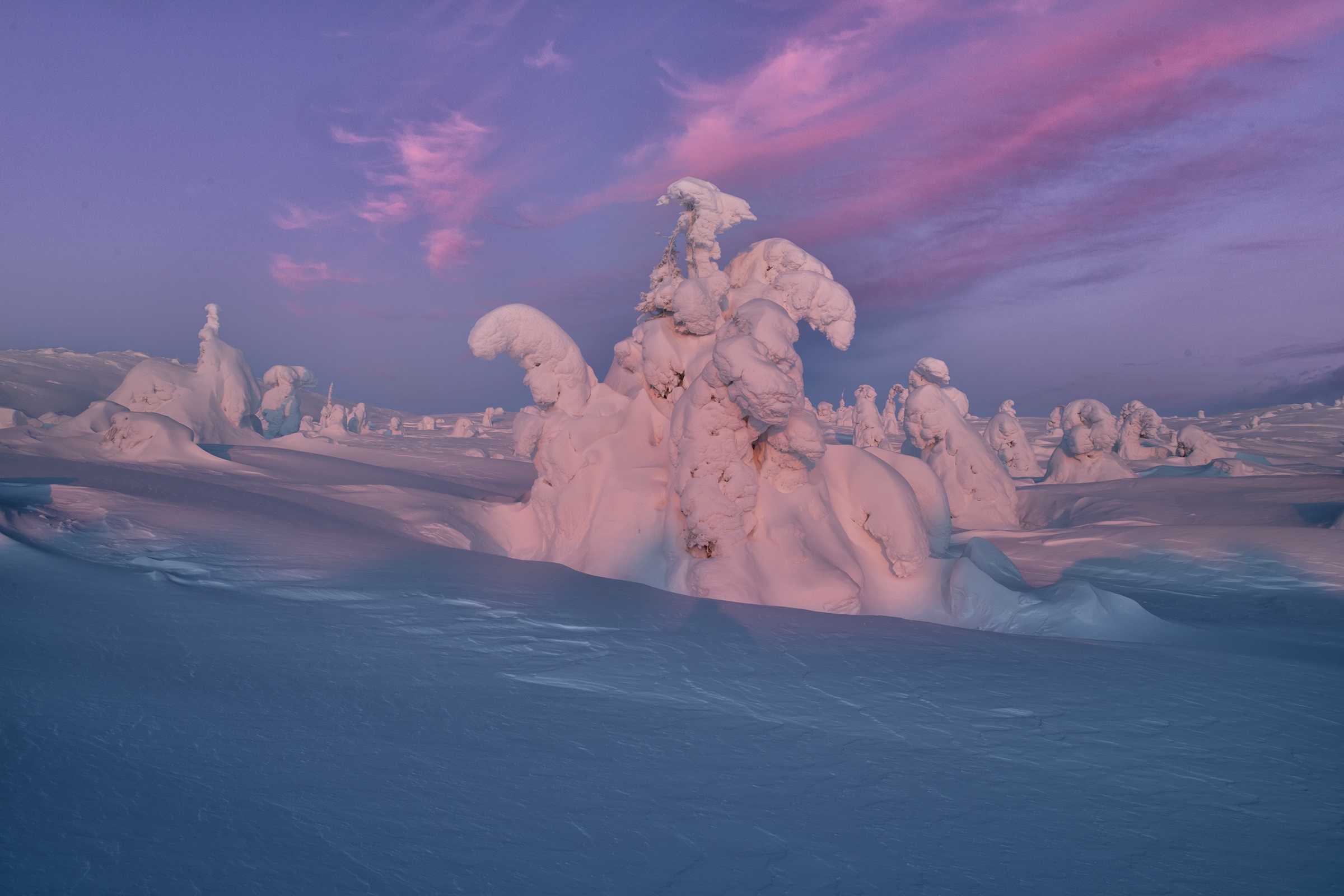 Snow-covered trees in a winter landscape at sunset HD Wallpaper