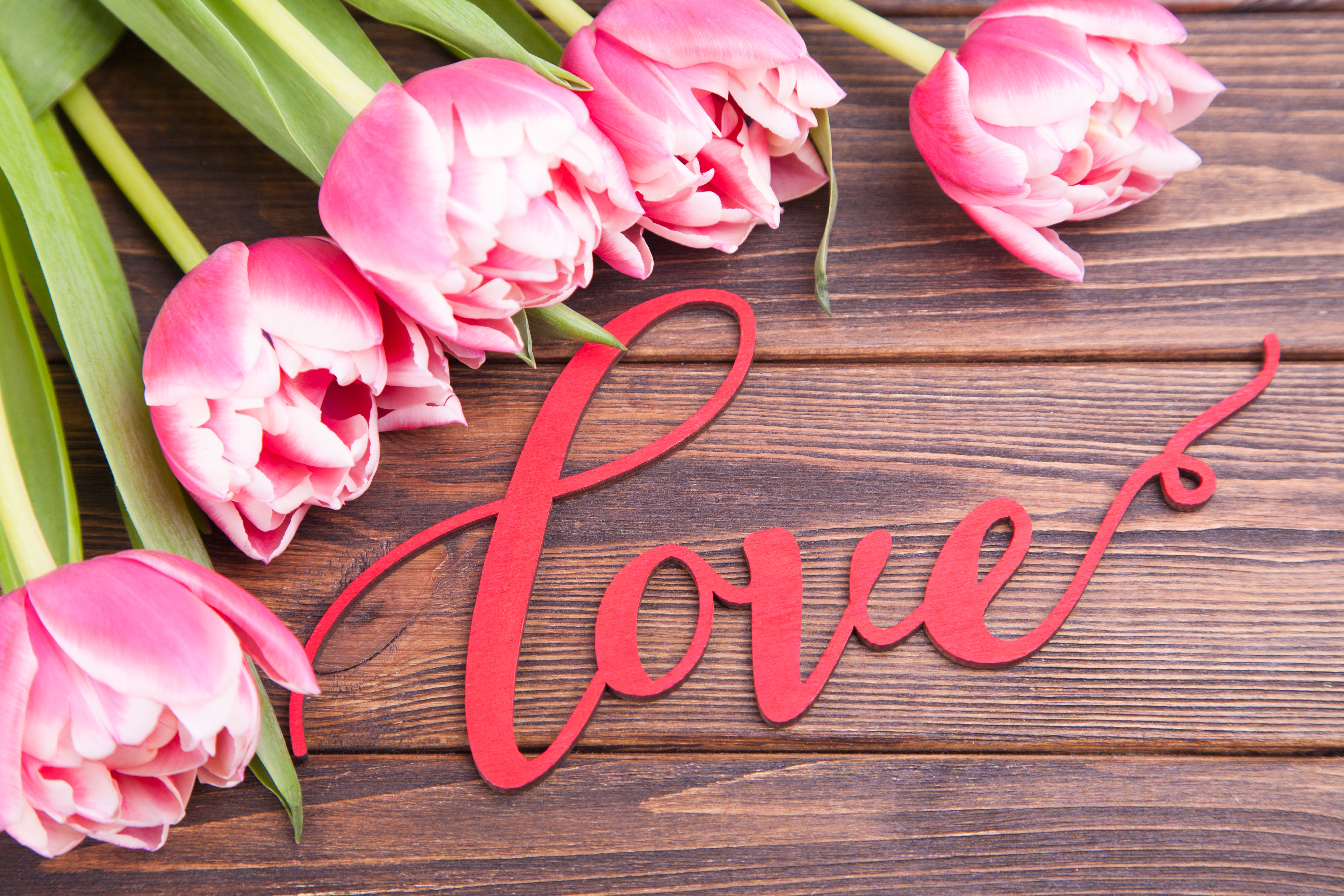 Pink Tulips and Red "Love" Word Decoration HD Wallpaper