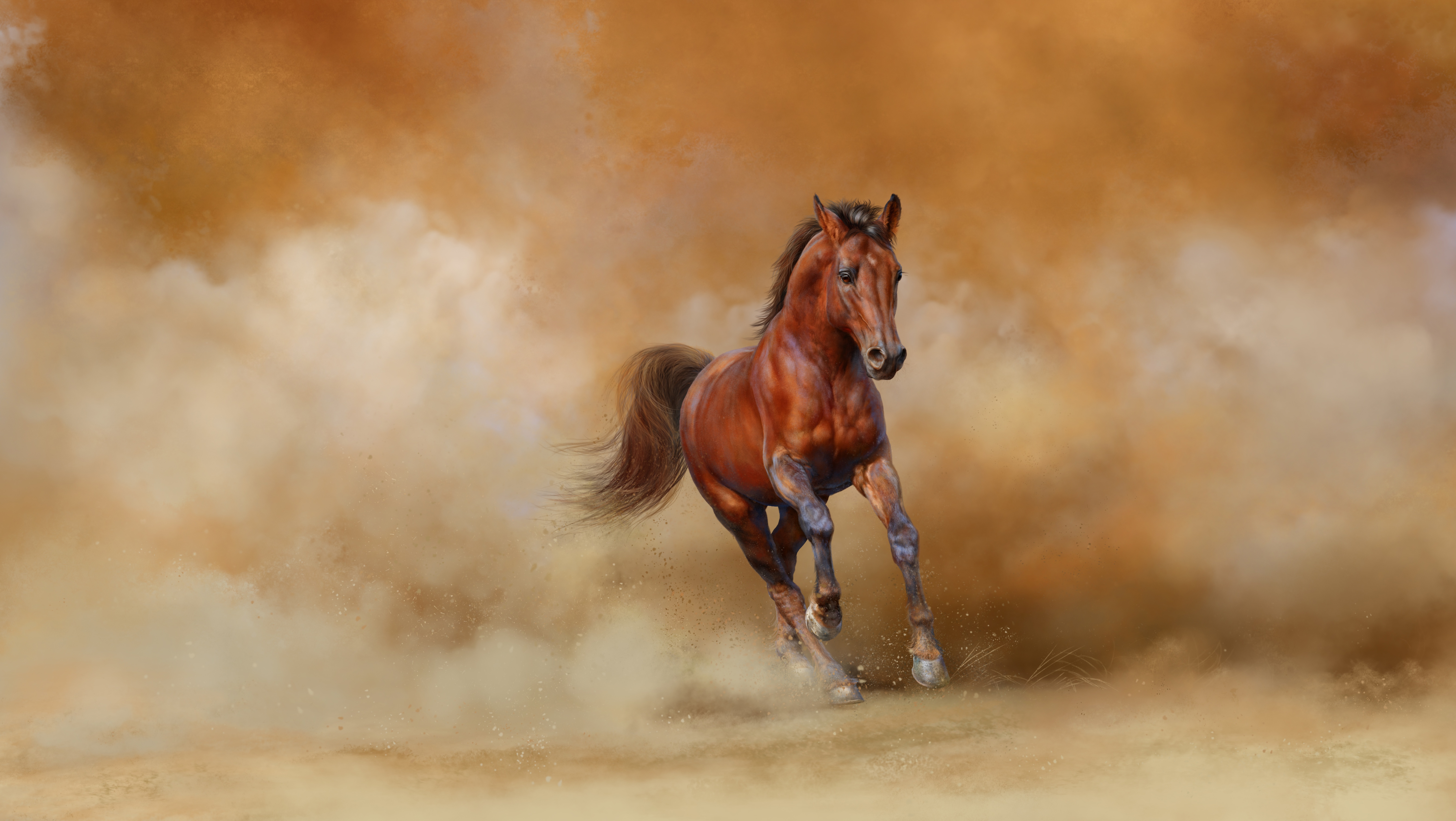 Brown horse running in dust 4K HD Wallpaper