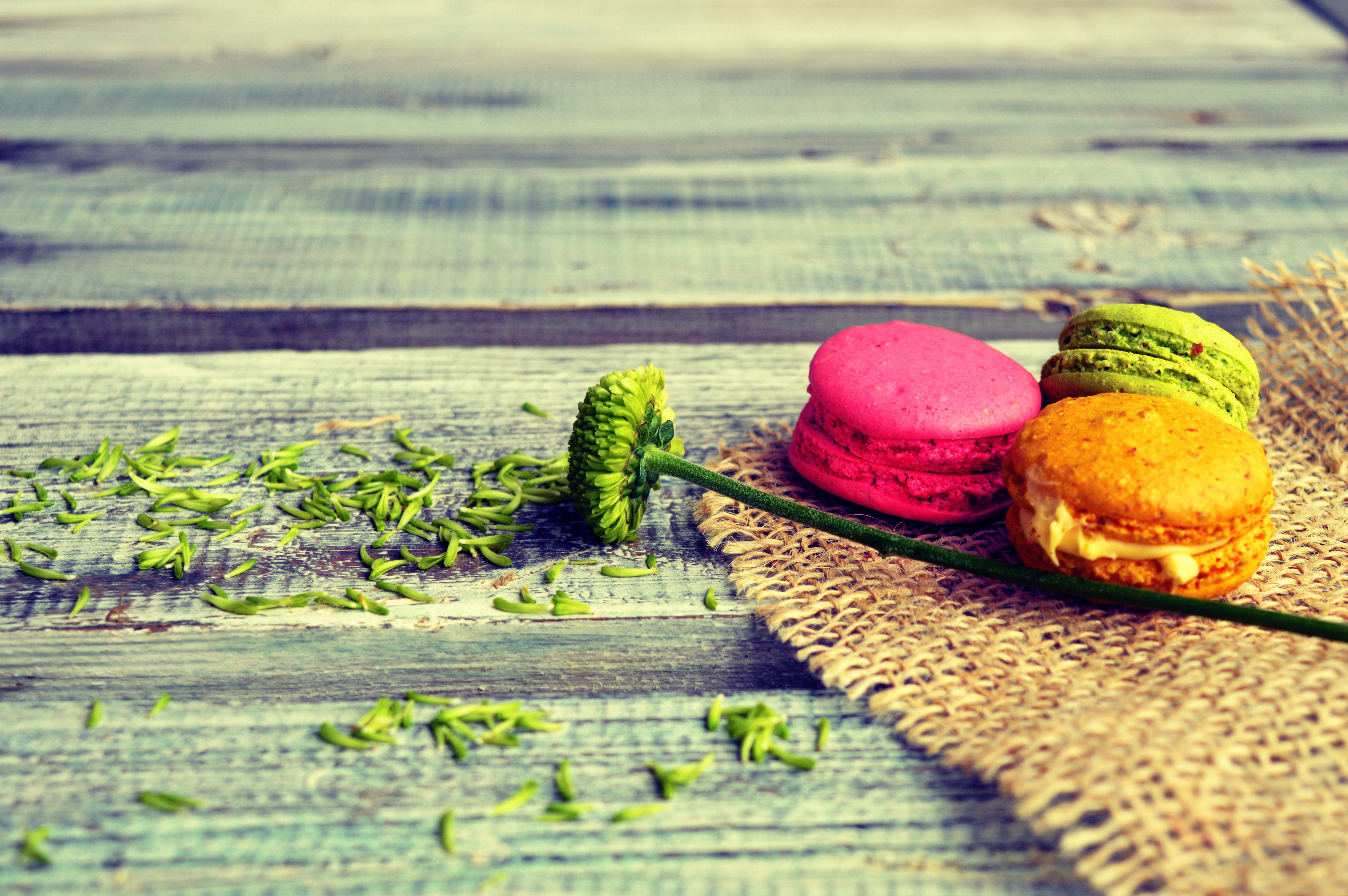 Macarons and flower on wooden table HD Wallpaper