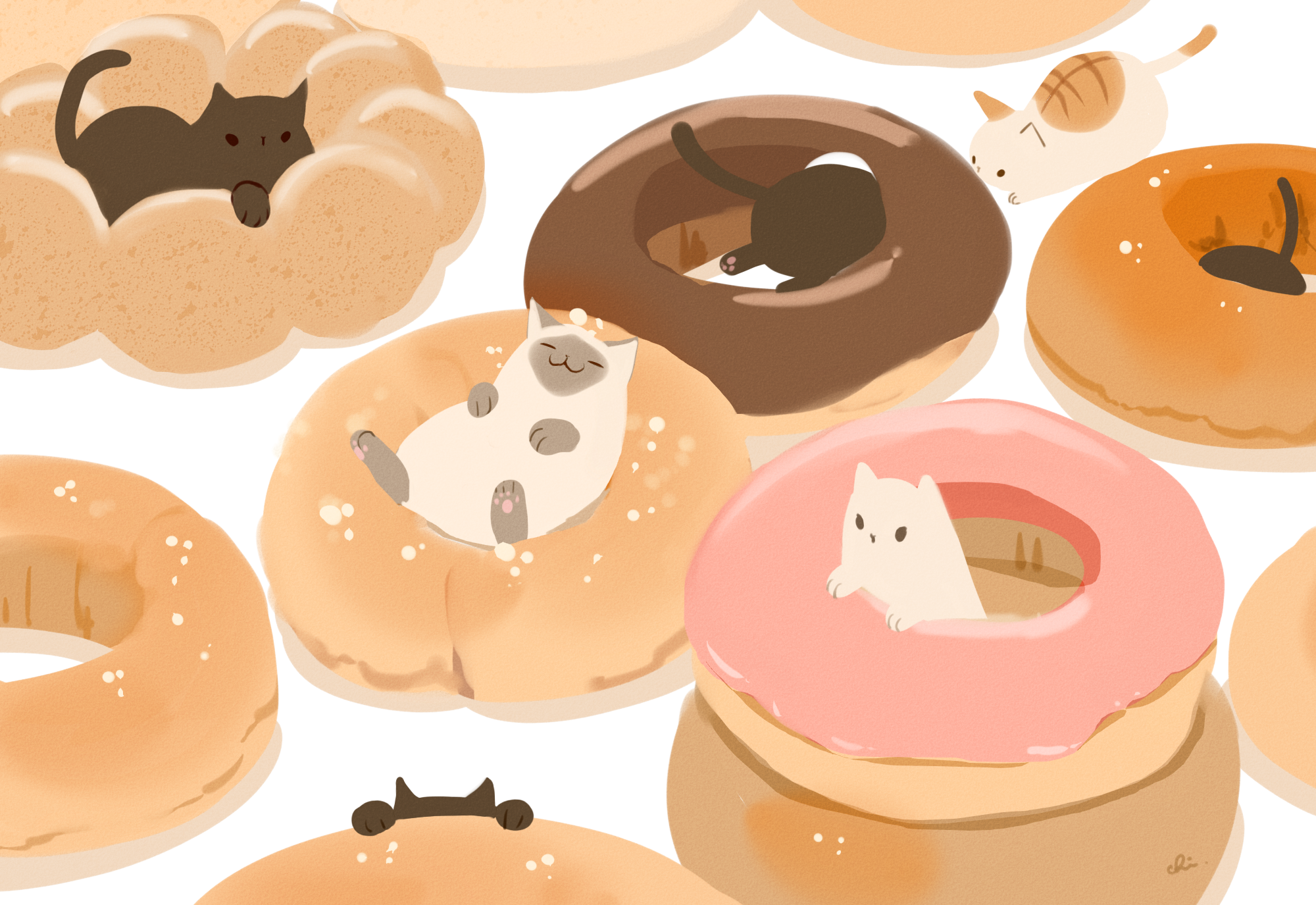 Cute Cats Resting on Colorful Doughnuts HD Wallpaper