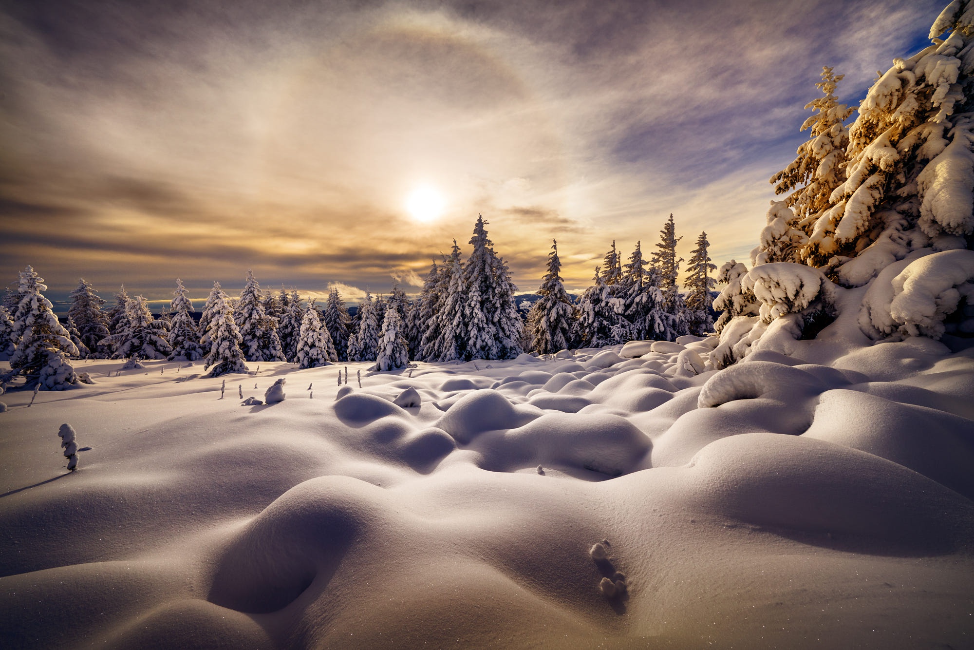 Snowy forest landscape with sun and clouds HD Wallpaper