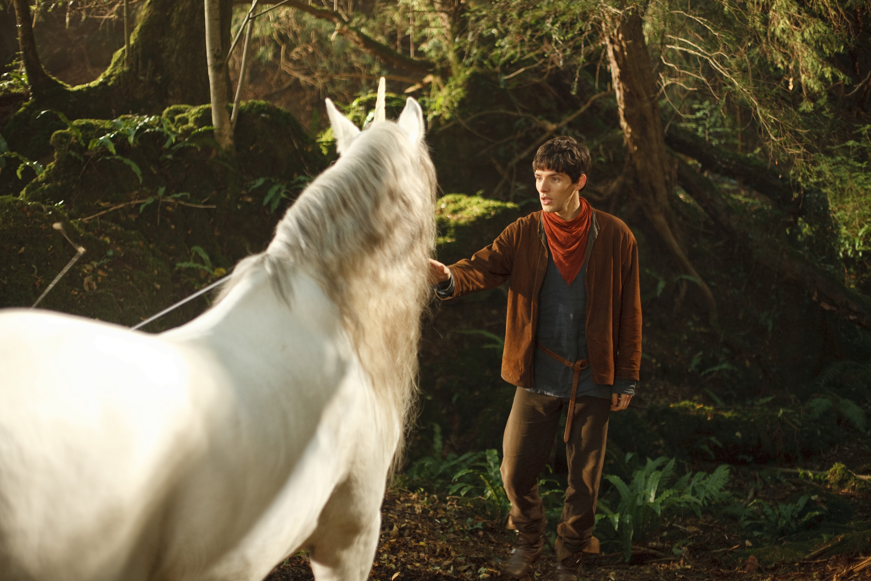 Merlin and a Unicorn in a Forest HD Wallpaper