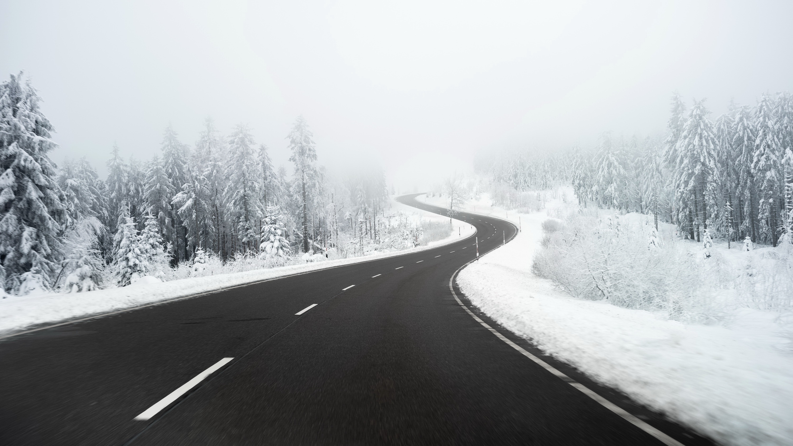 Winding road through a snowy forest in fog HD Wallpaper