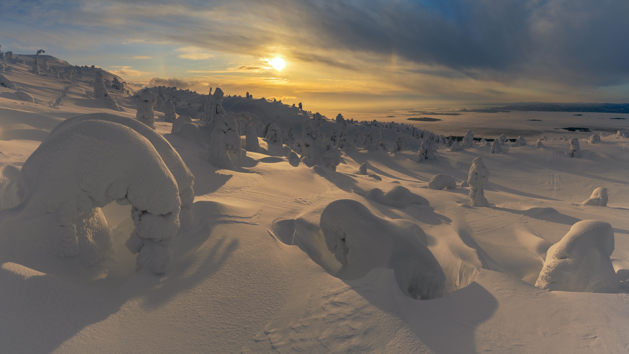 Snow-covered trees at sunrise in a winter landscape HD Wallpaper