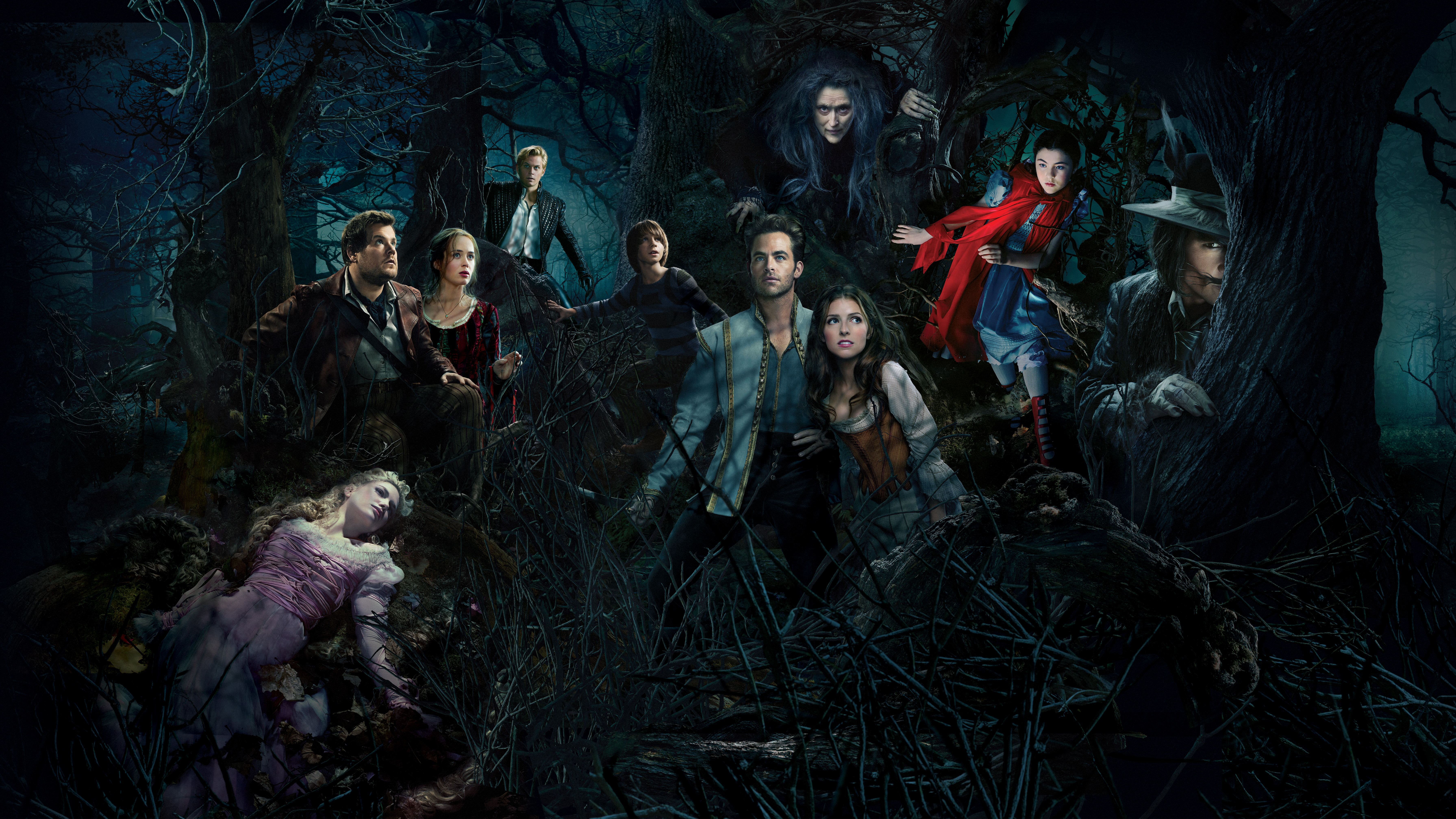 Into The Woods HD Wallpaper
