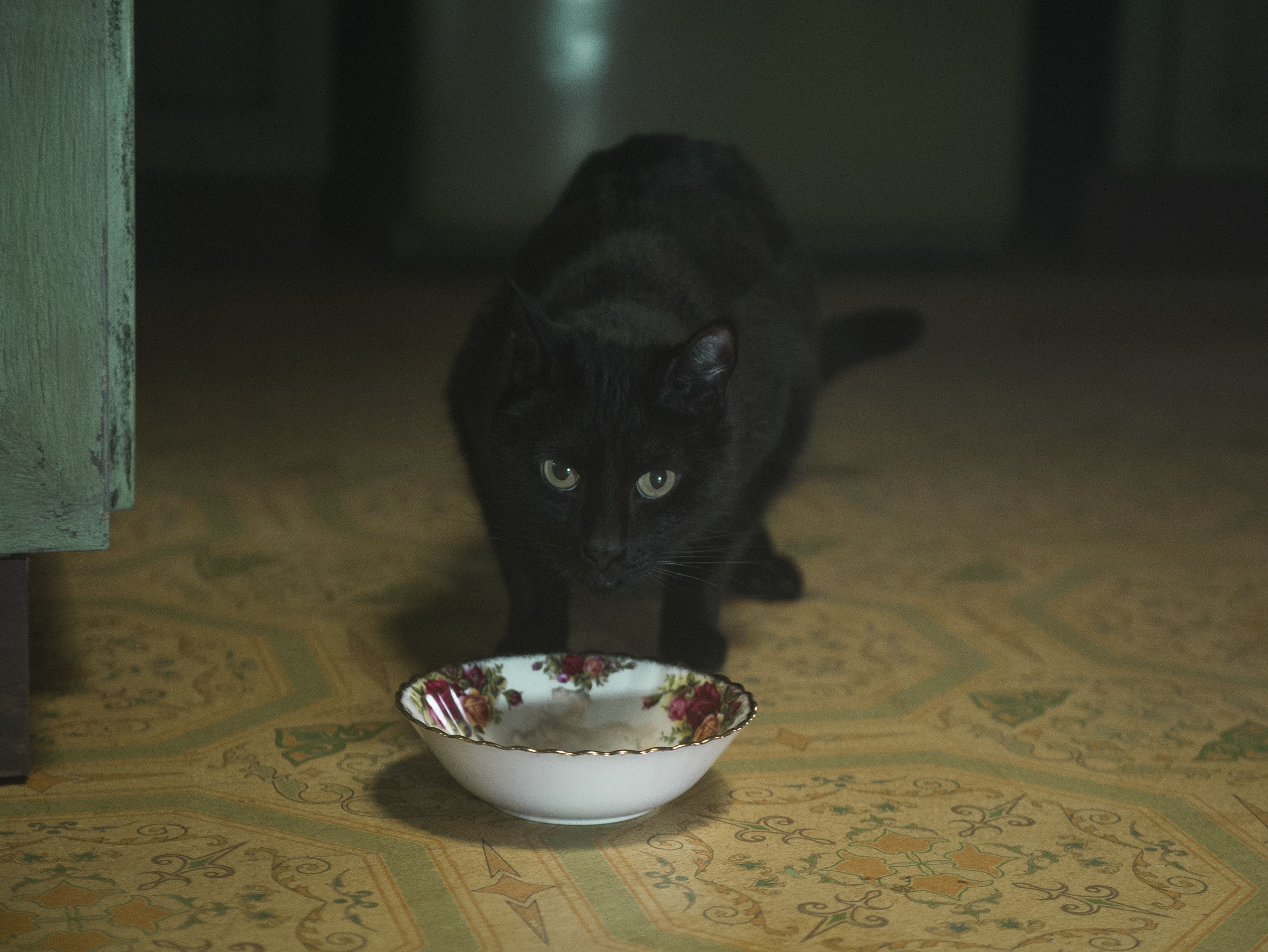 Salem from Chilling Adventures of Sabrina HD Wallpaper