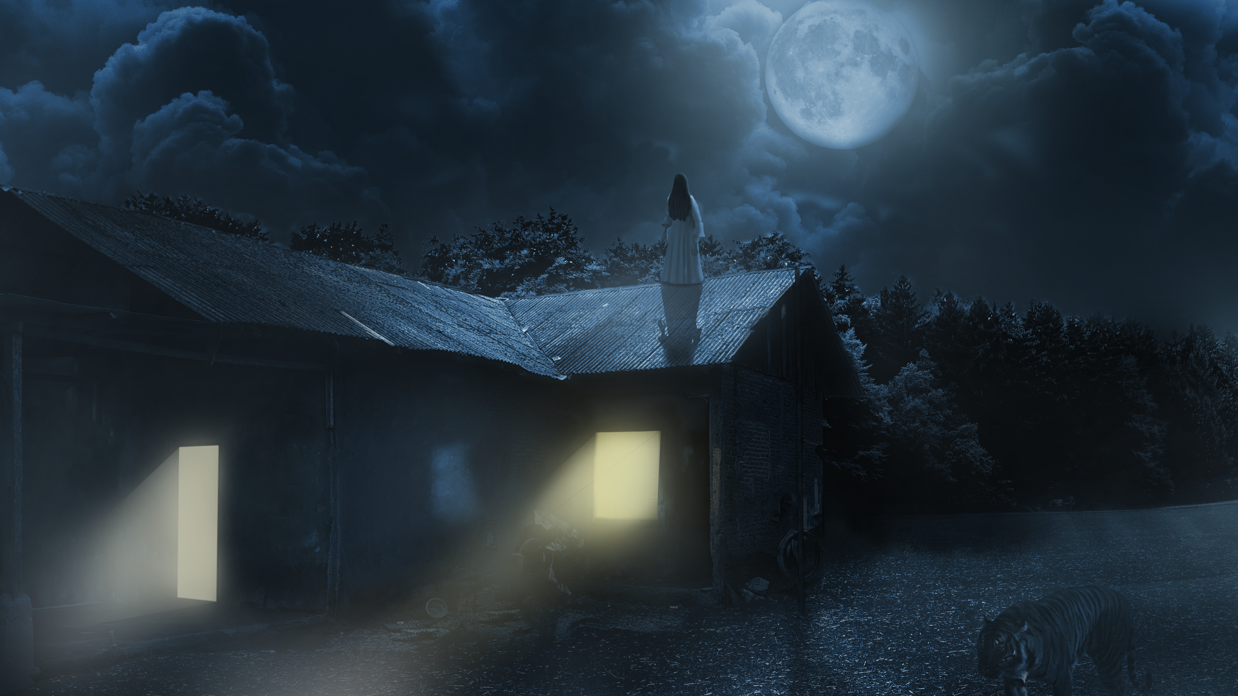 Ghostly figure on a haunted house roof with a tiger HD Wallpaper