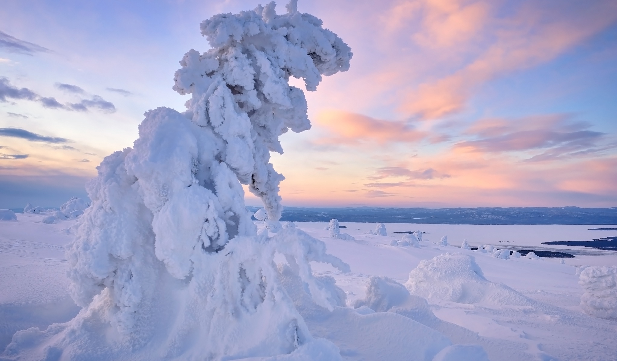 Snow-covered trees on a winter landscape at sunset HD Wallpaper