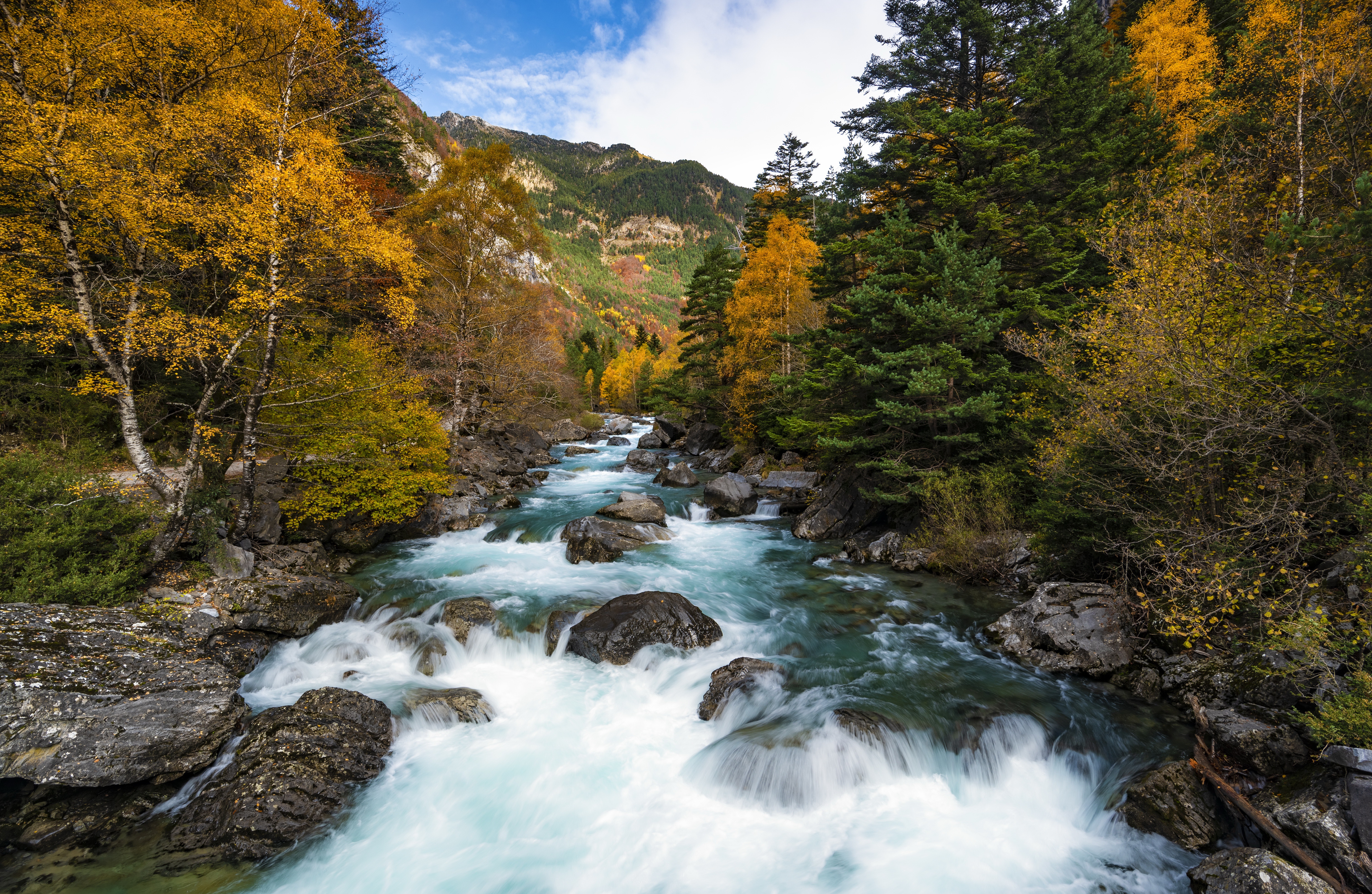 River in a forest during autumn HD Wallpaper