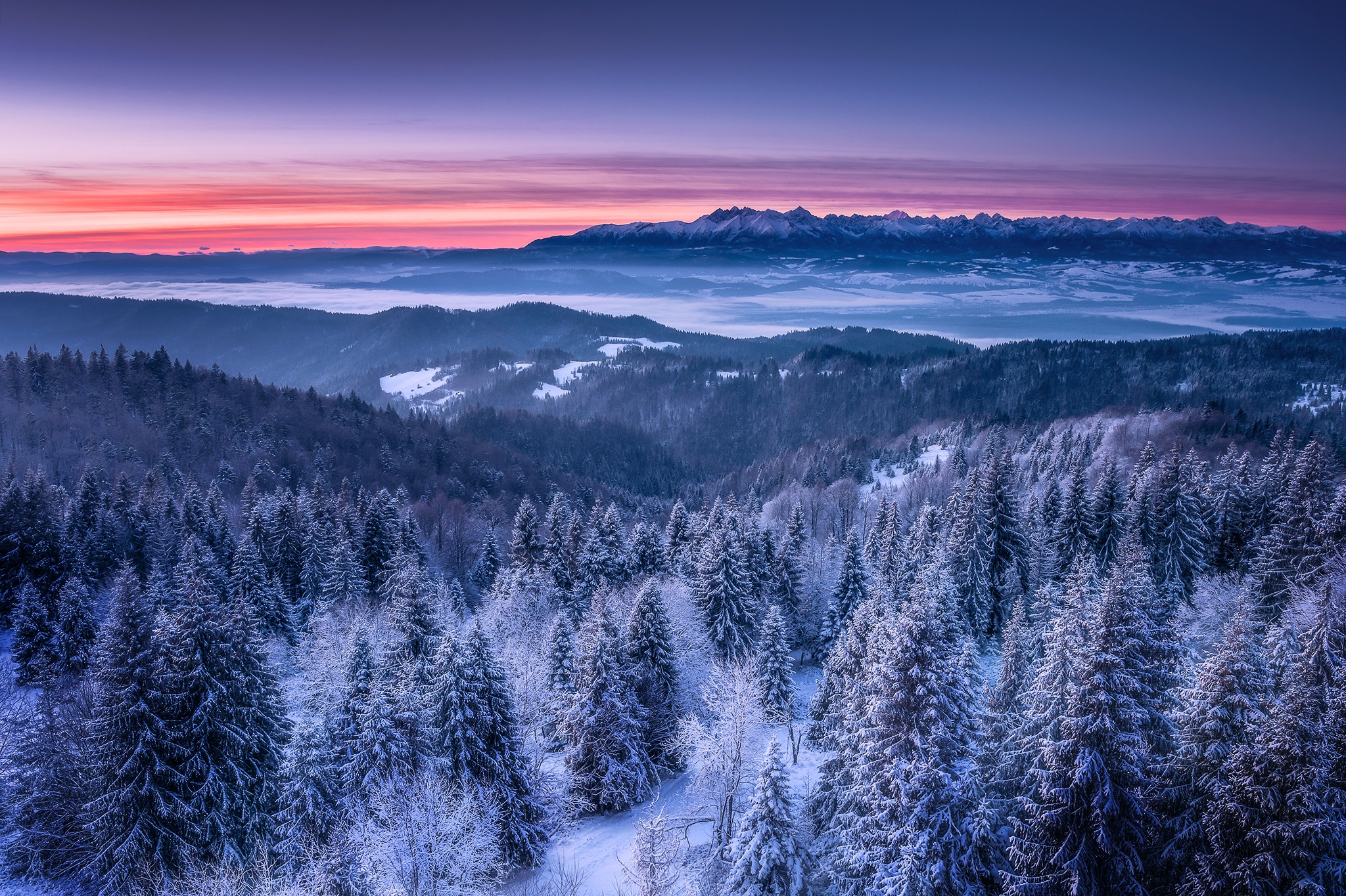 Snowy mountain forest landscape at sunrise HD Wallpaper