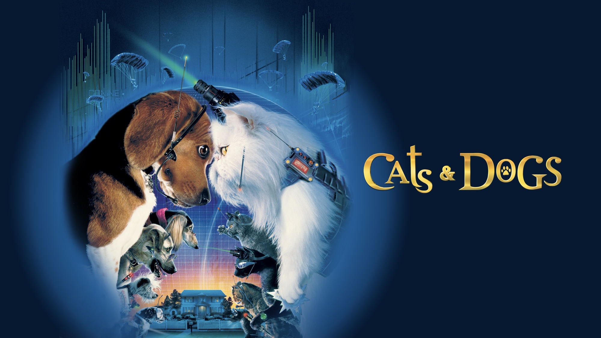 Cats & Dogs movie poster HD Wallpaper
