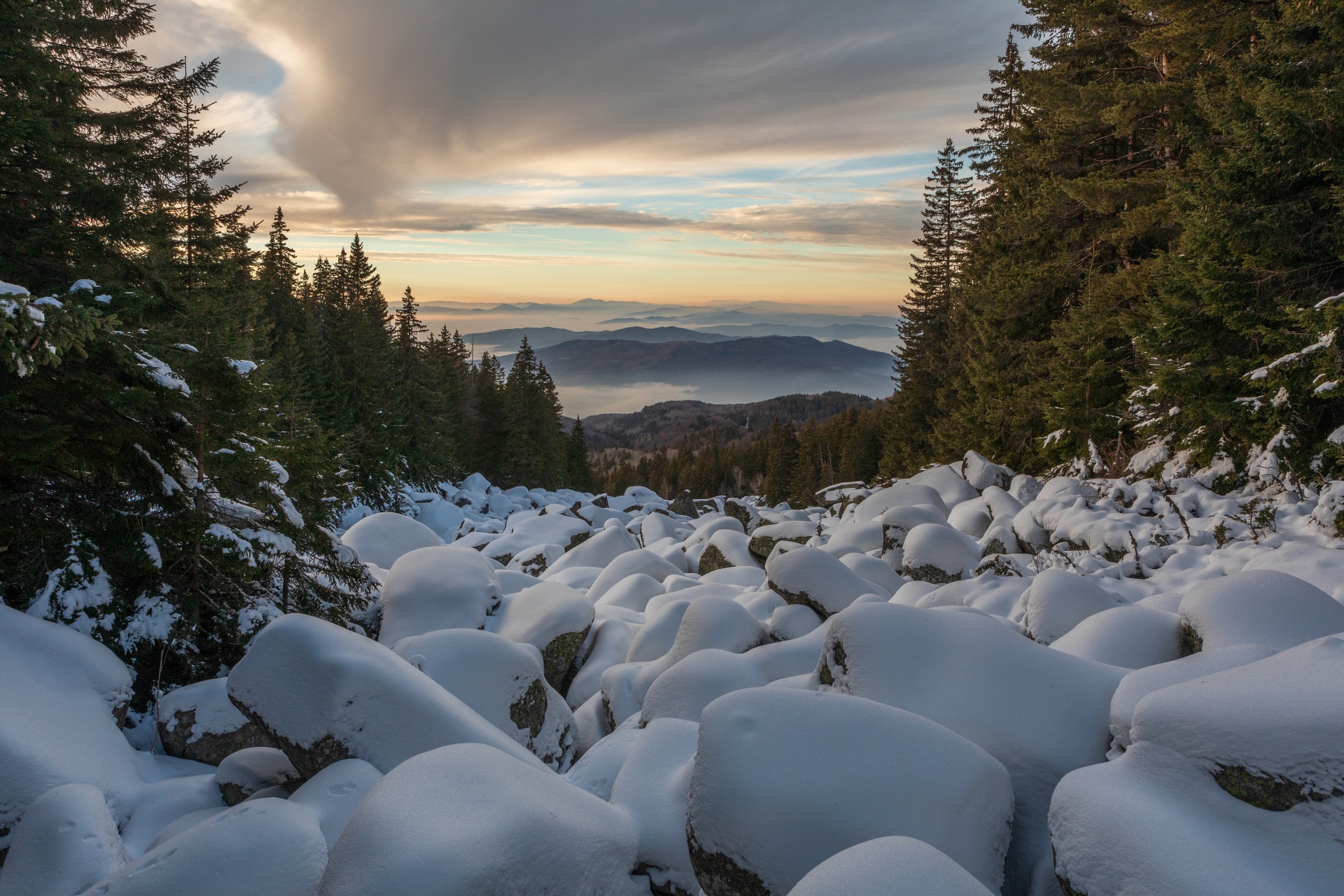 Snow-covered boulders in a mountain forest at sunset HD Wallpaper