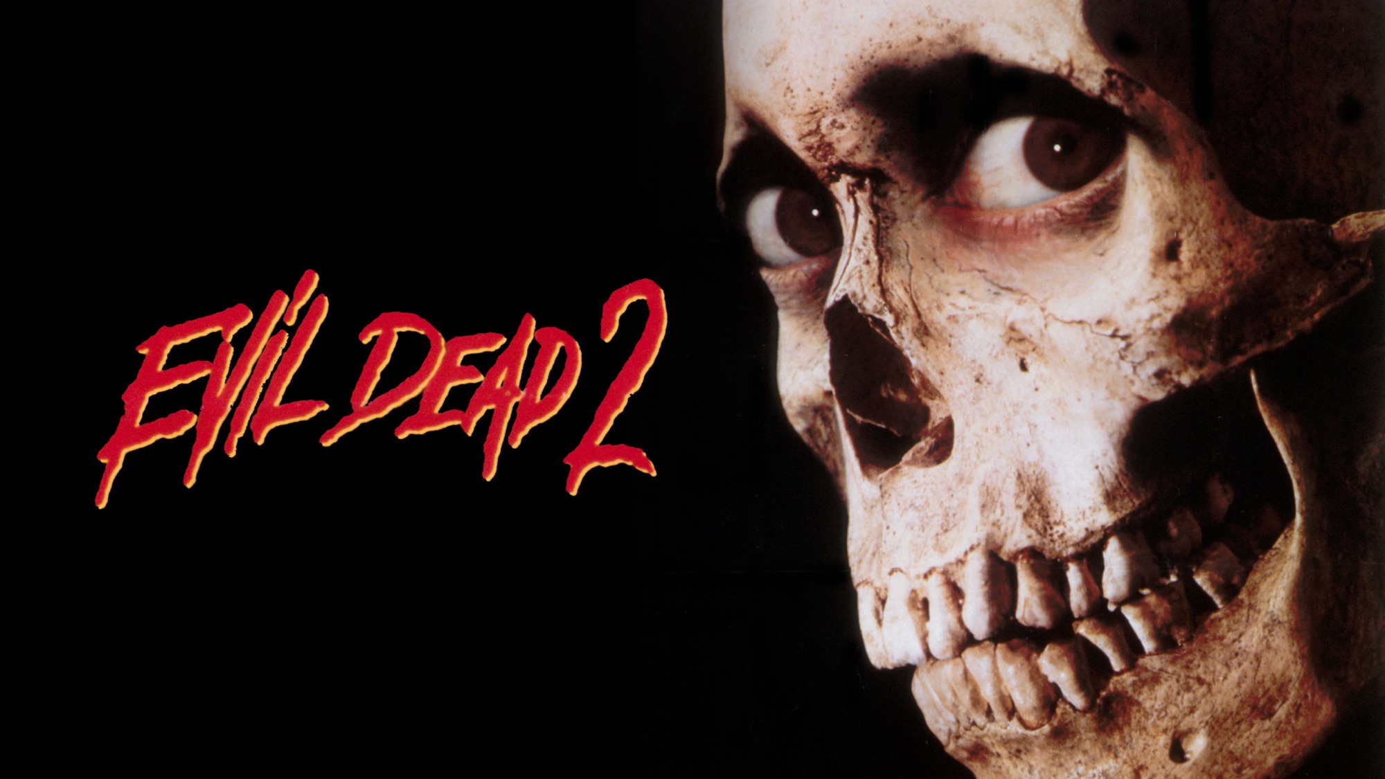 Evil Dead 2 movie poster with skull HD Wallpaper