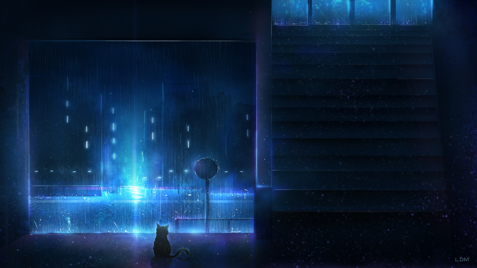 Cat sitting in front of a rainy city at night HD Wallpaper