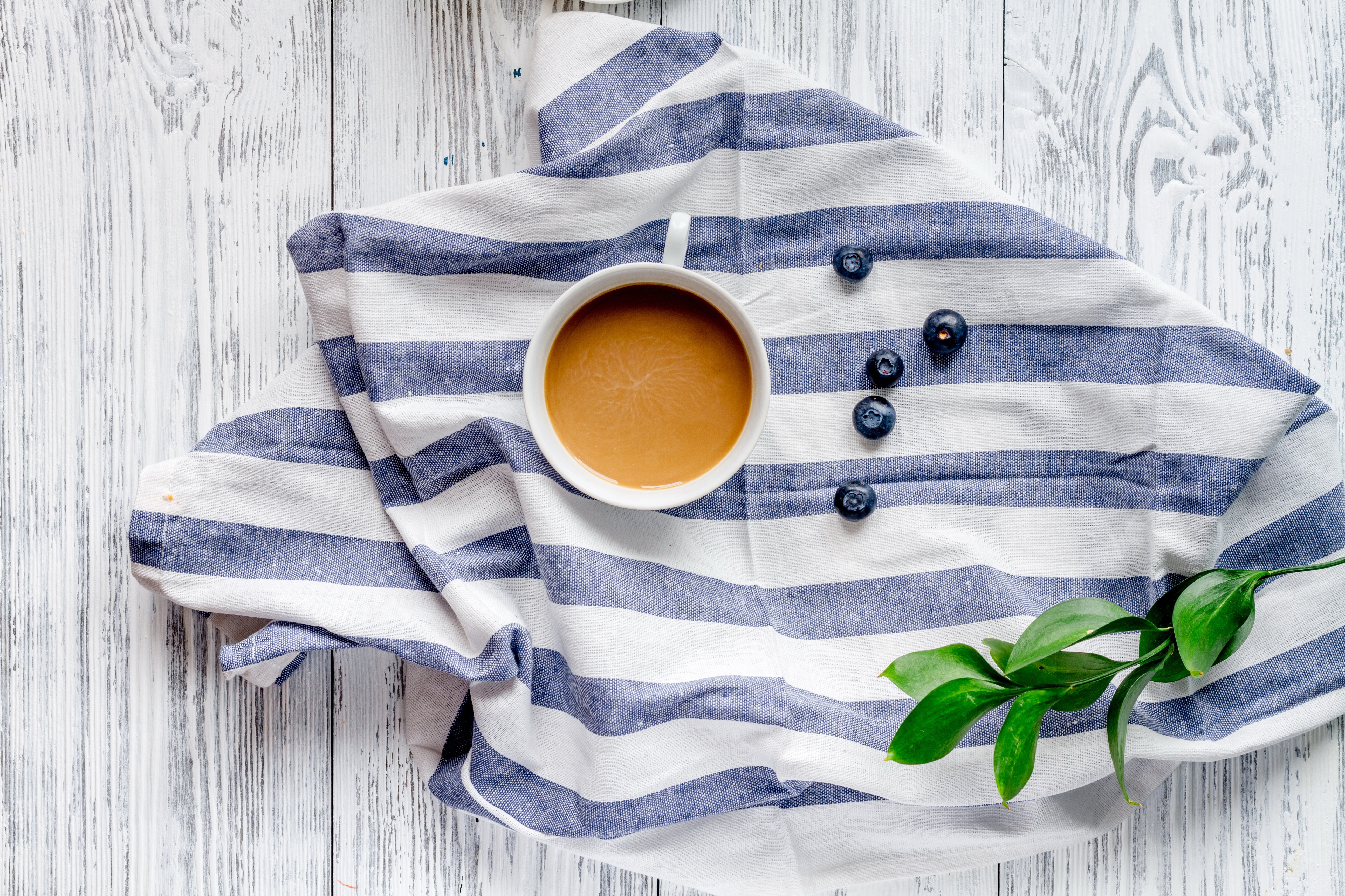 Coffee cup with blueberries on a striped cloth HD Wallpaper