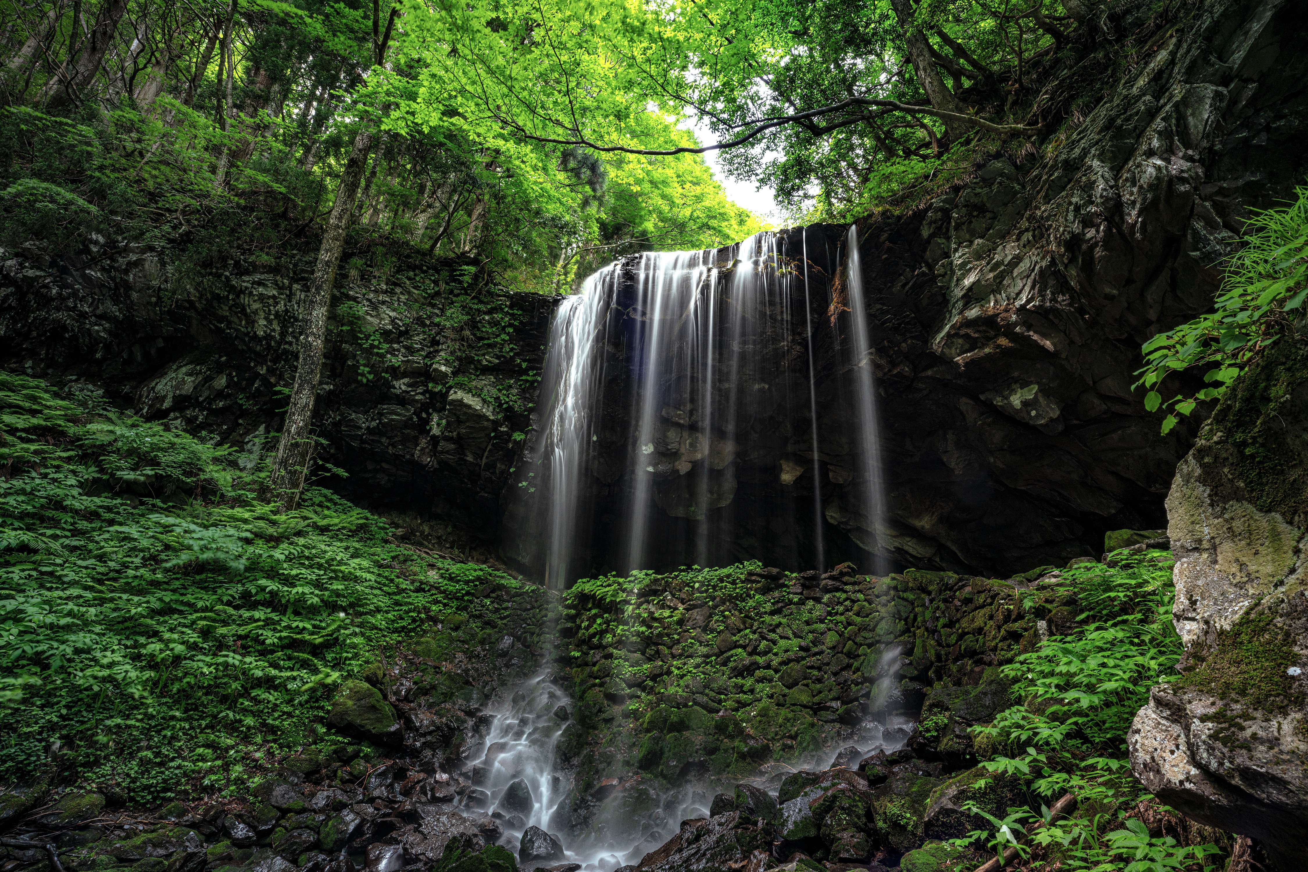 Waterfall in a Lush Green Forest HD Wallpaper